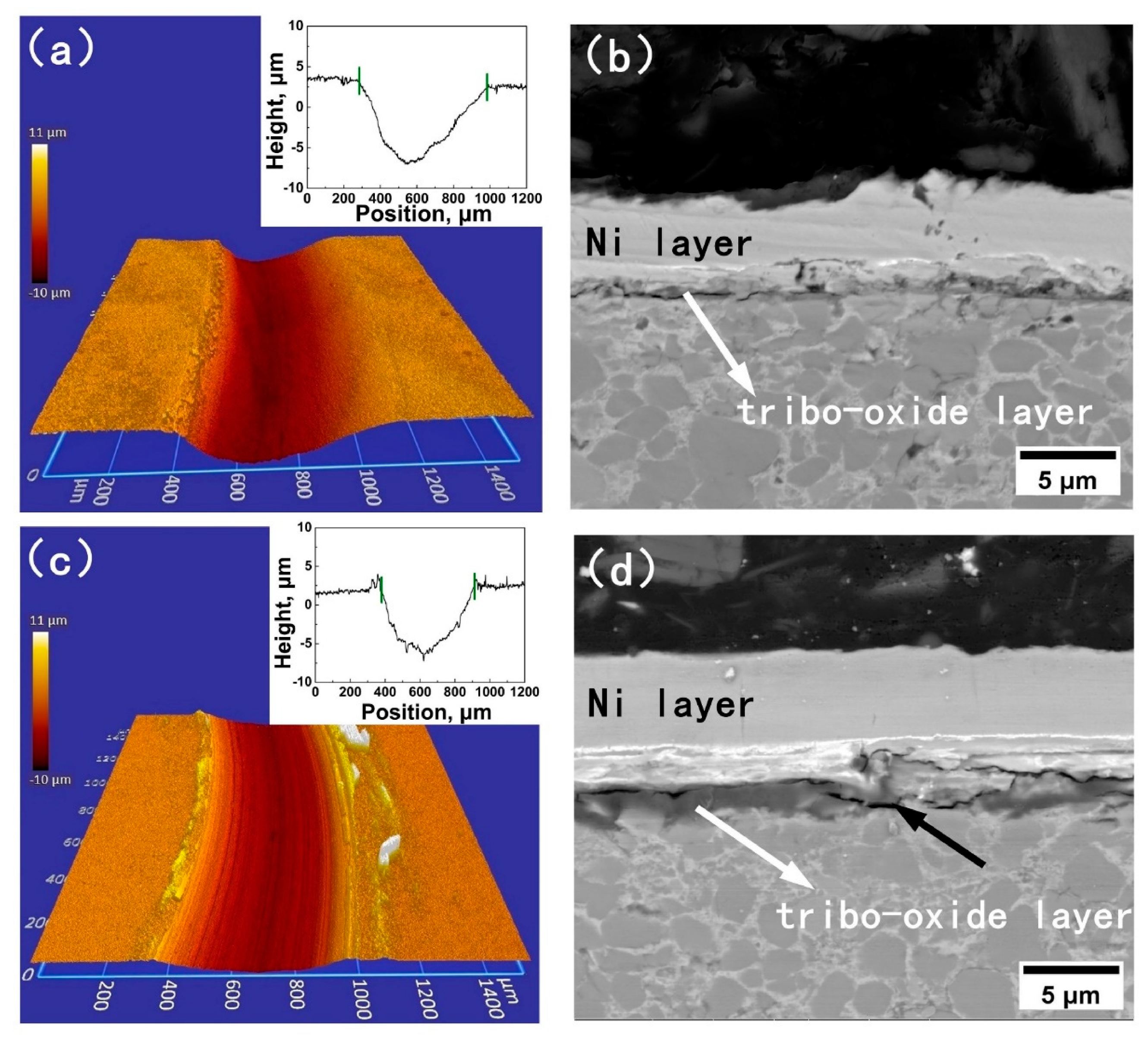 Coatings 10 01090 g012