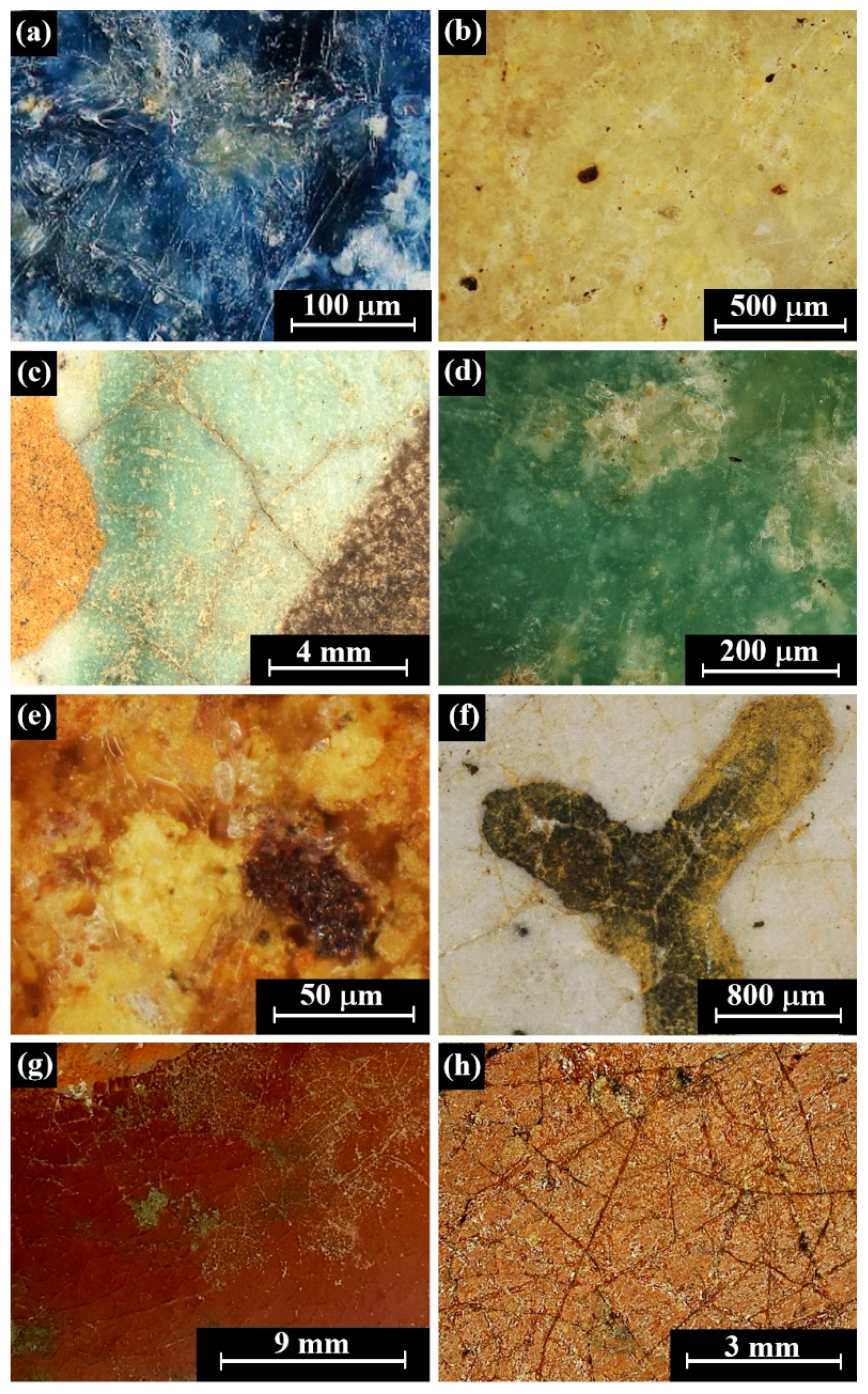 Coatings 10 01091 g003 Coatings 10 01091 g003