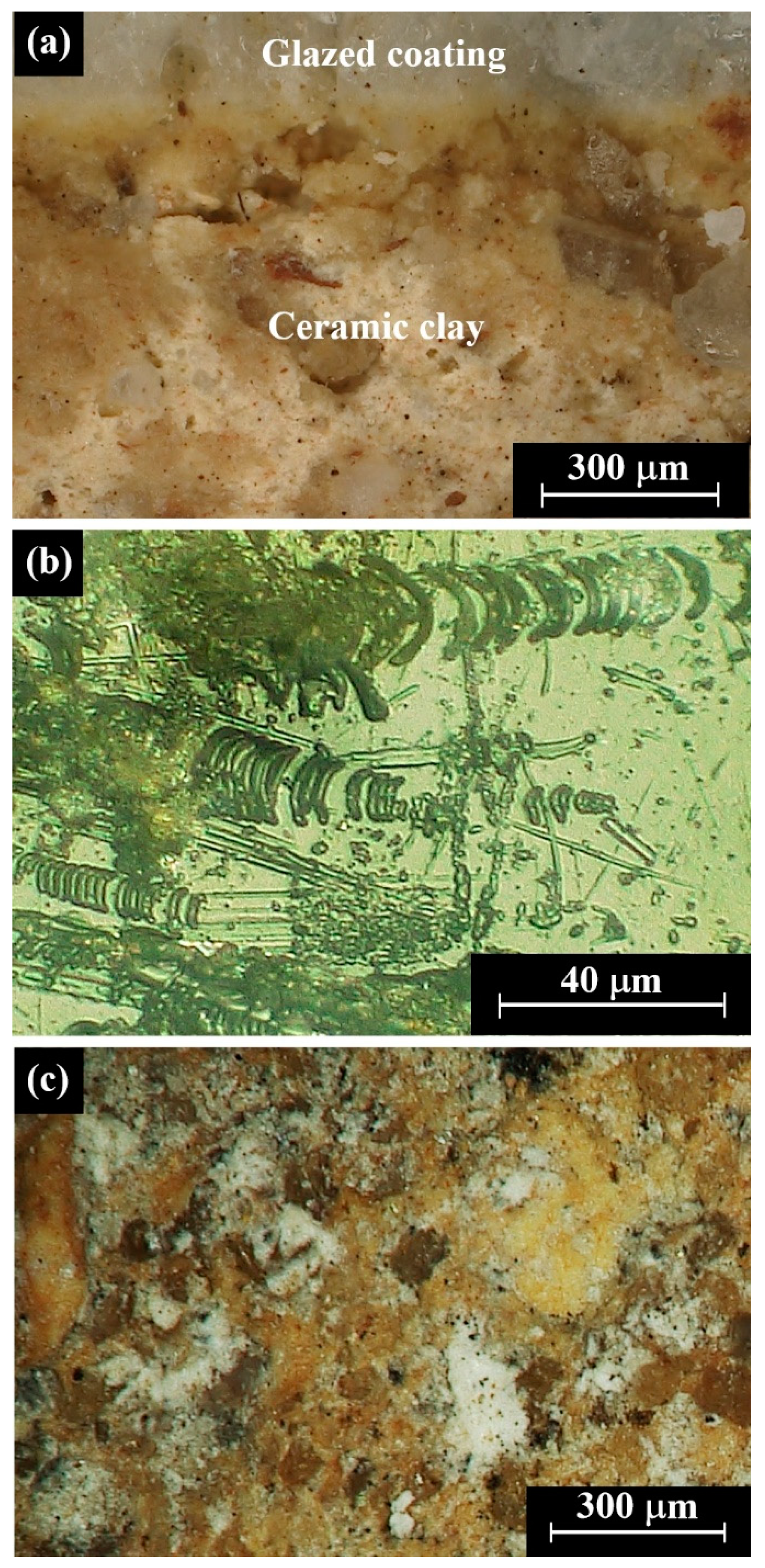 Coatings 10 01091 g004 Coatings 10 01091 g004