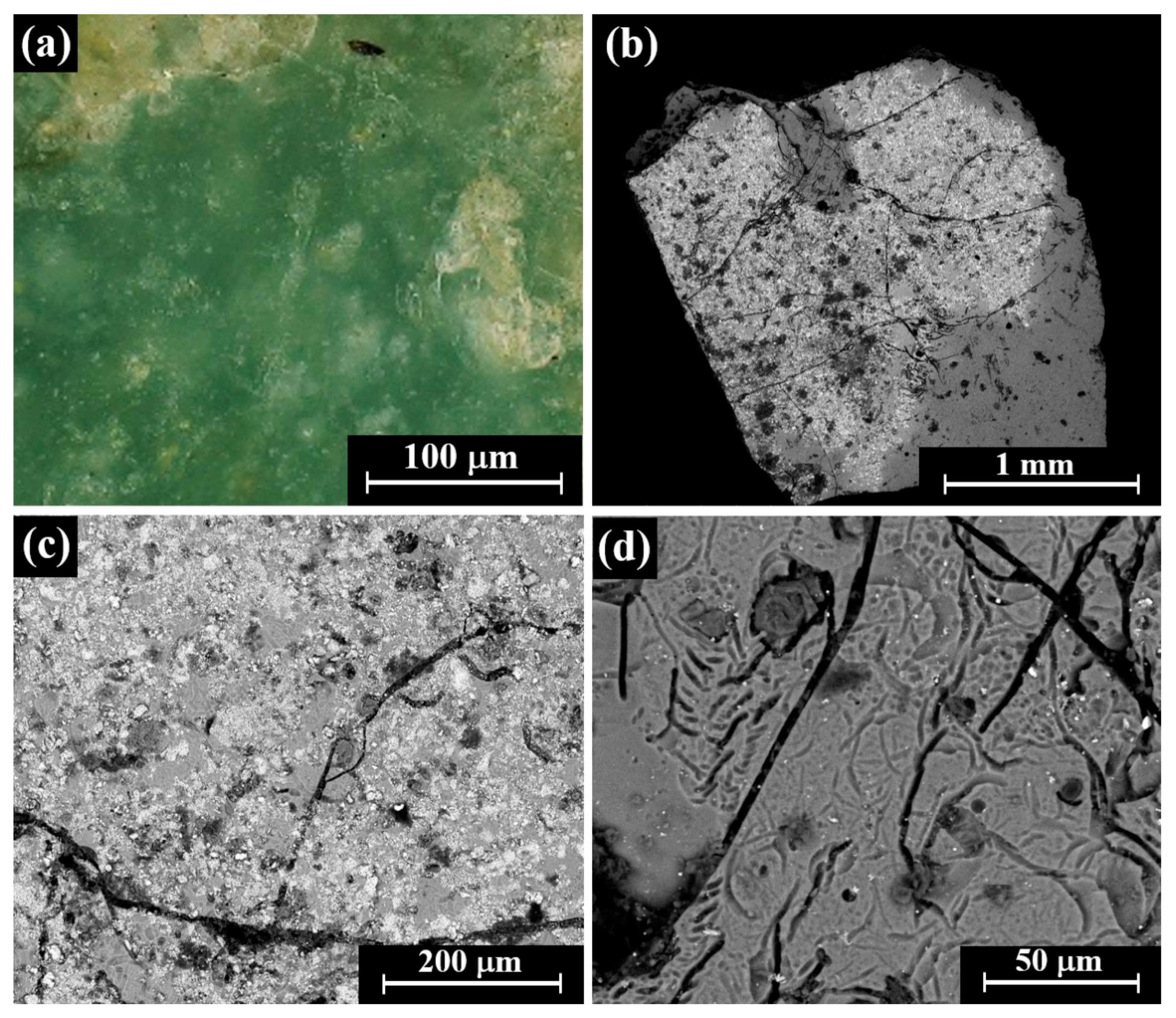 Coatings 10 01091 g010 Coatings 10 01091 g010