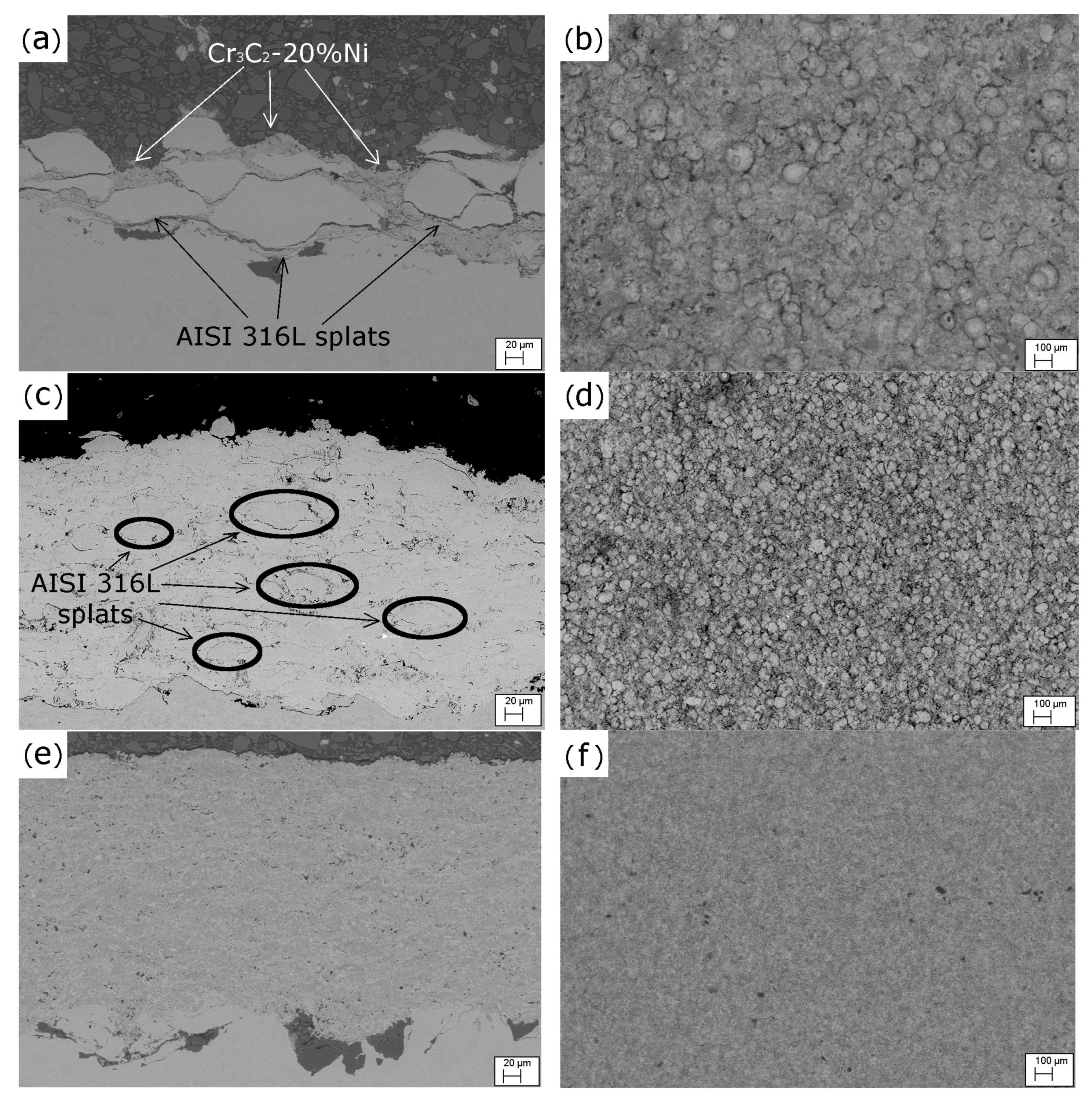 Coatings 10 01092 g003