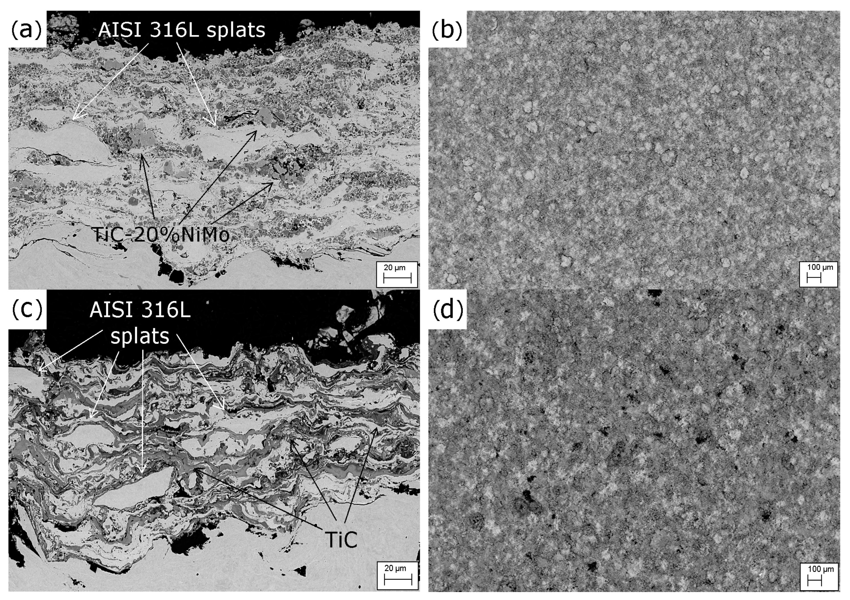 Coatings 10 01092 g004