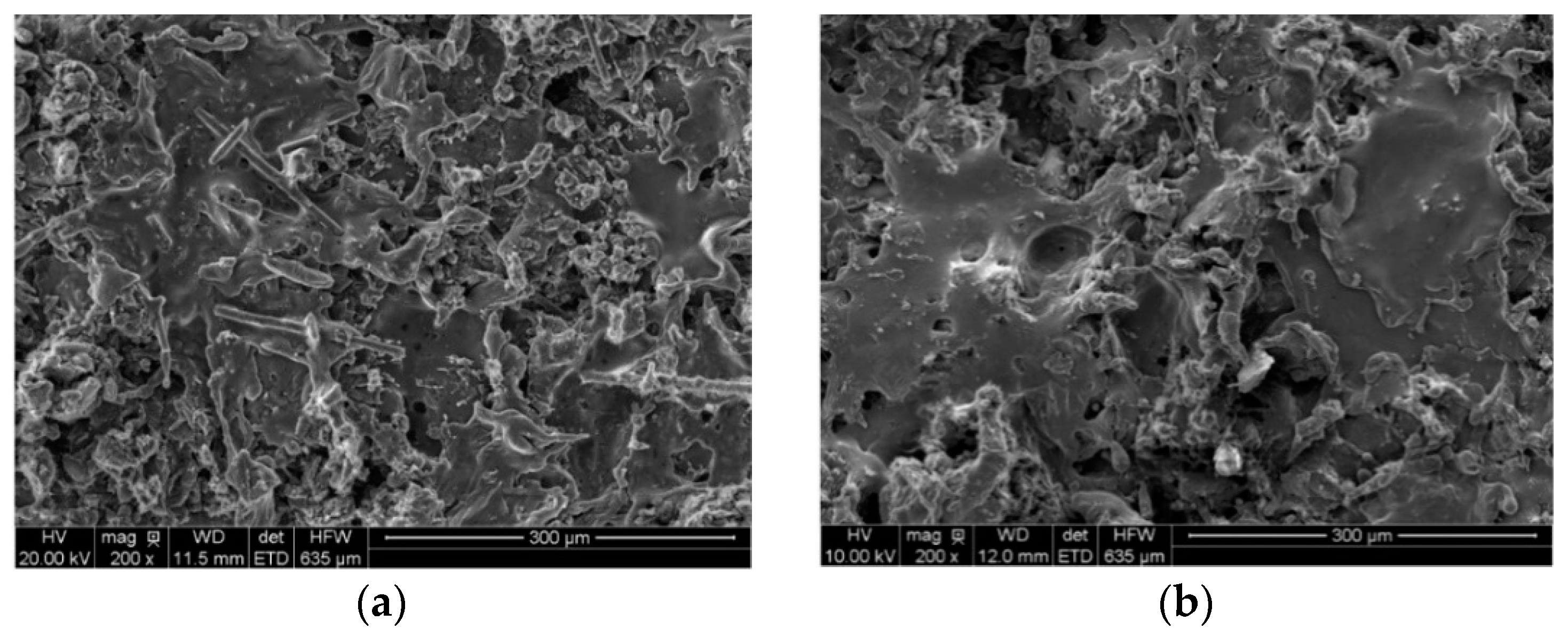Coatings 10 01096 g002