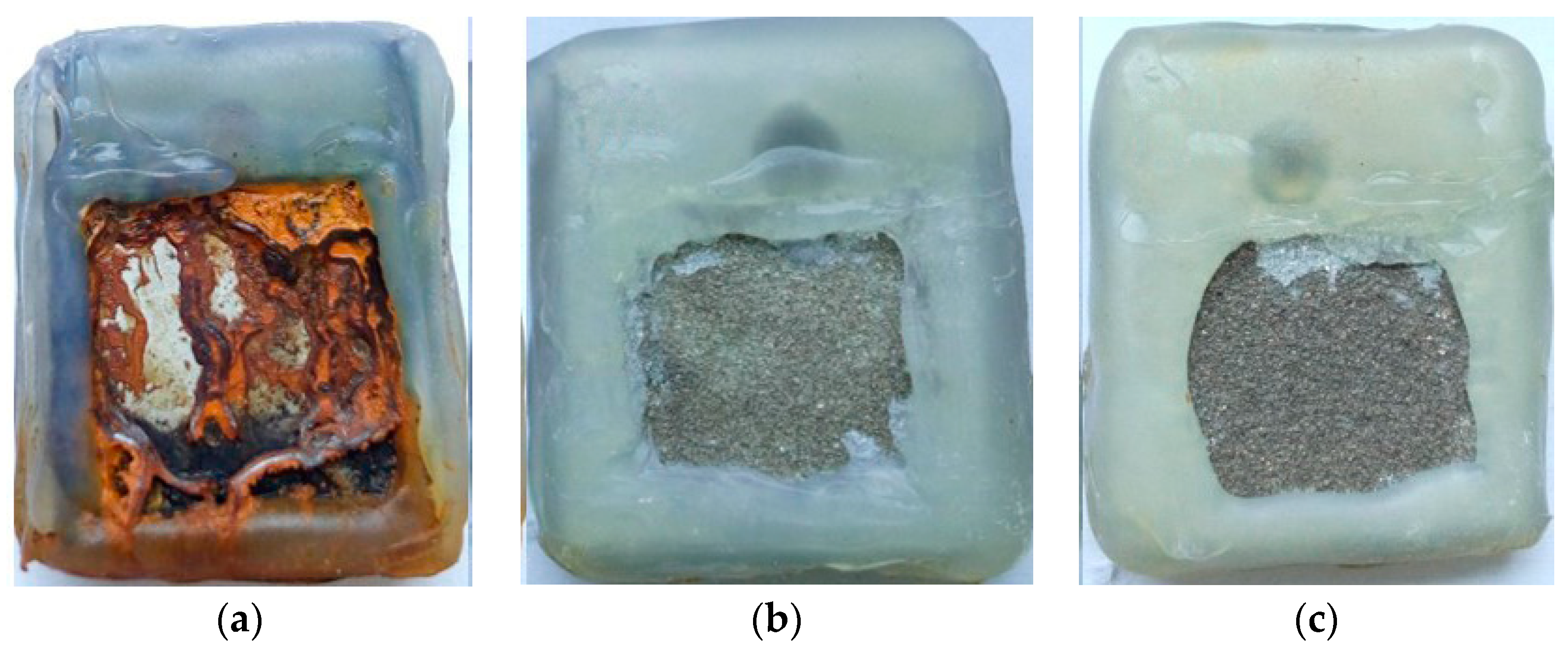Coatings 10 01096 g004