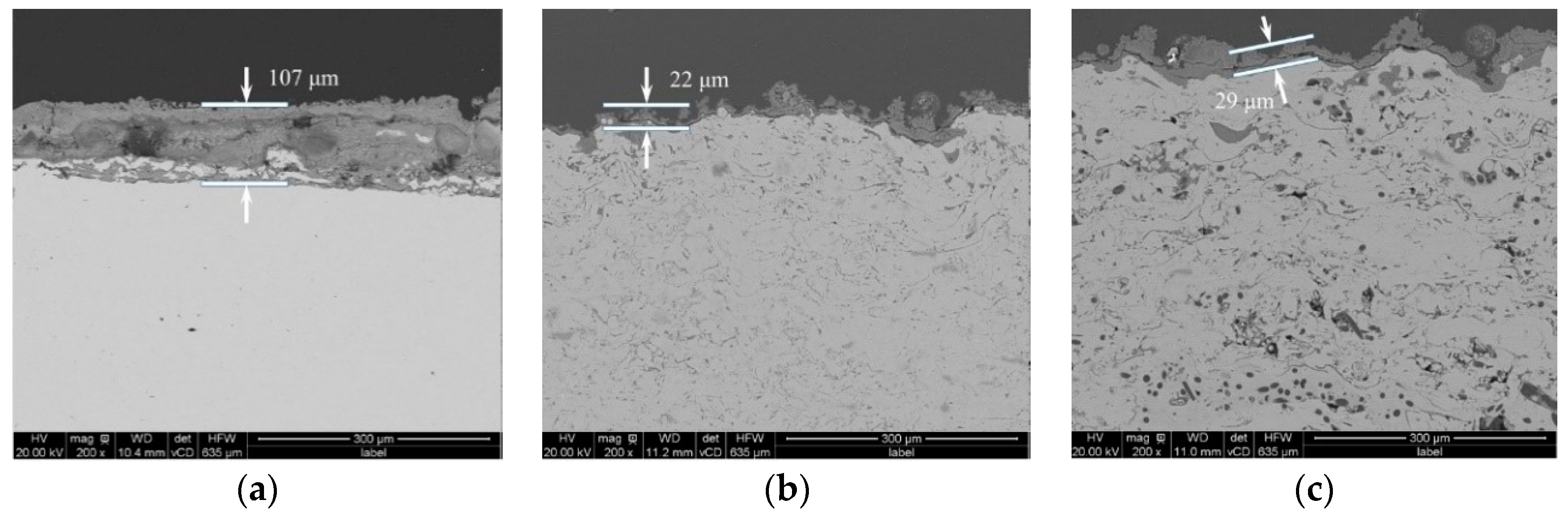 Coatings 10 01096 g005