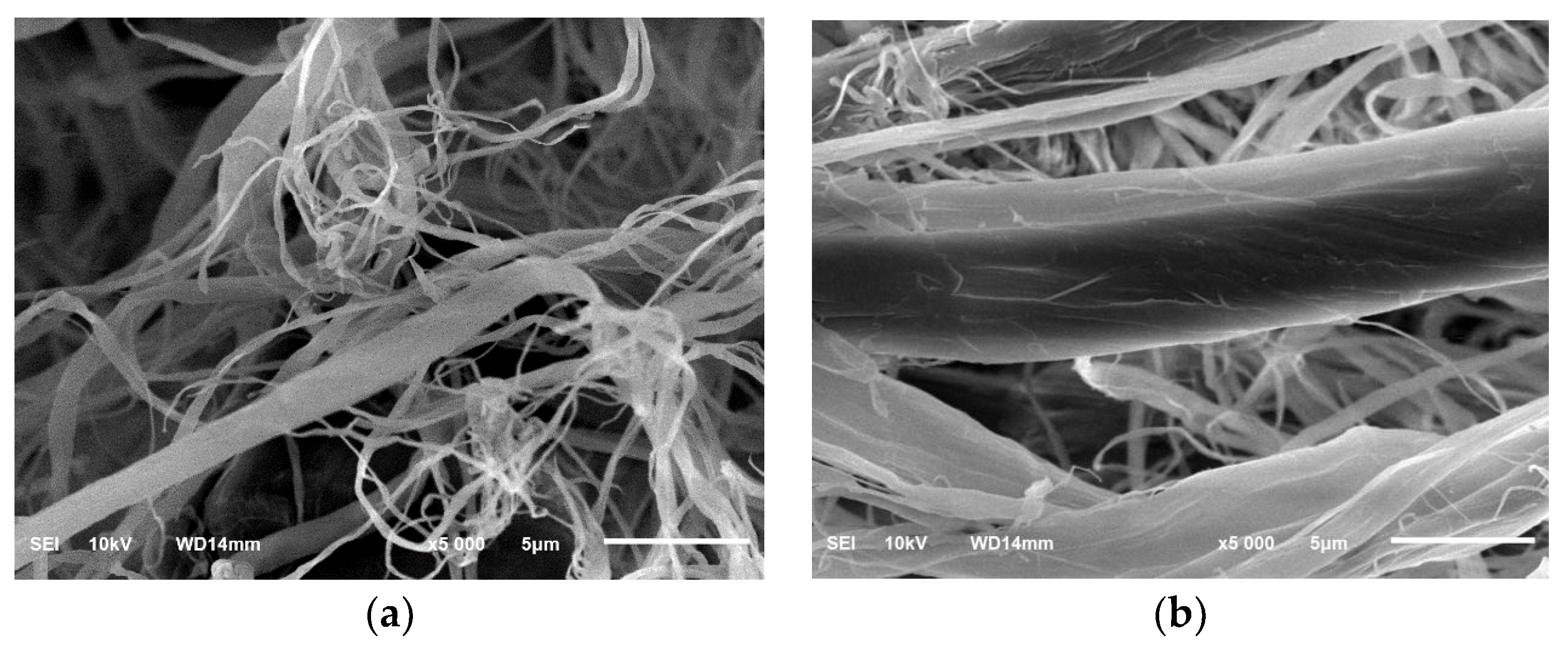 Coatings 10 01103 g003