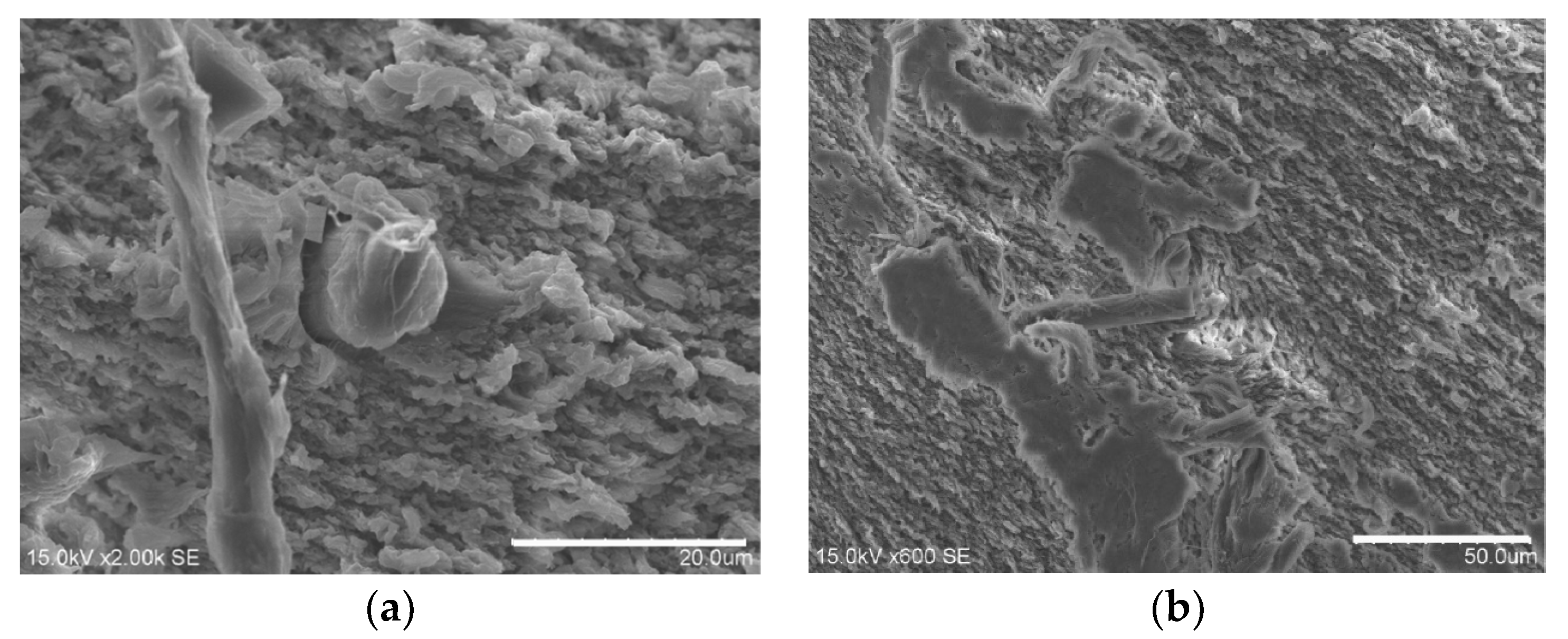 Coatings 10 01103 g011