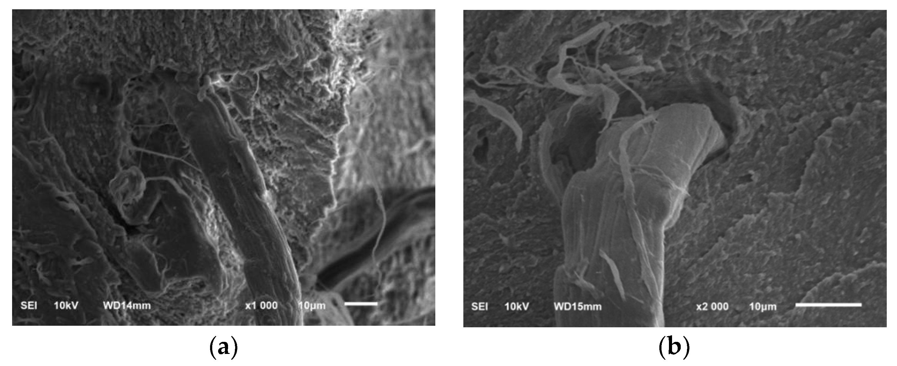 Coatings 10 01103 g020