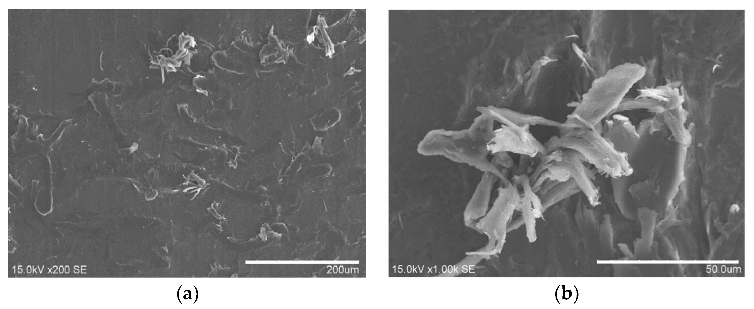 Coatings 10 01103 g023