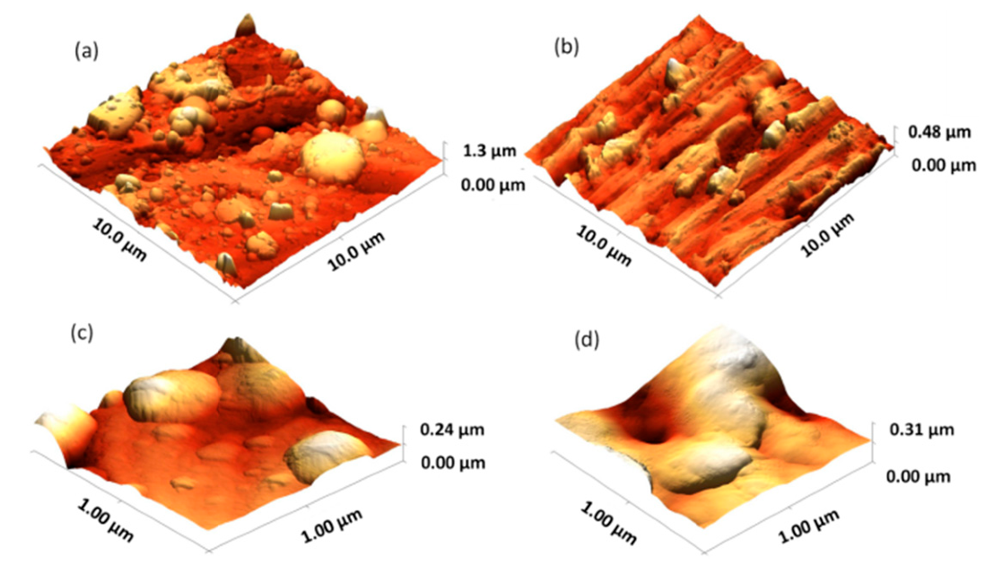 Coatings 10 01105 g004 Coatings 10 01105 g004