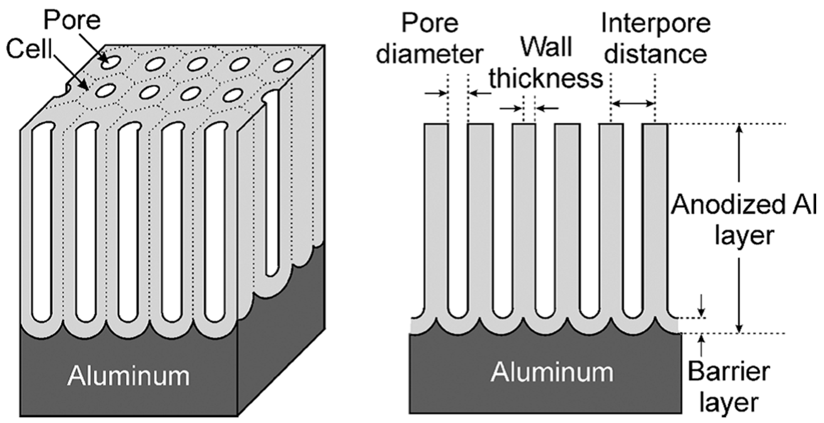 Coatings 10 01106 g004 Coatings 10 01106 g004