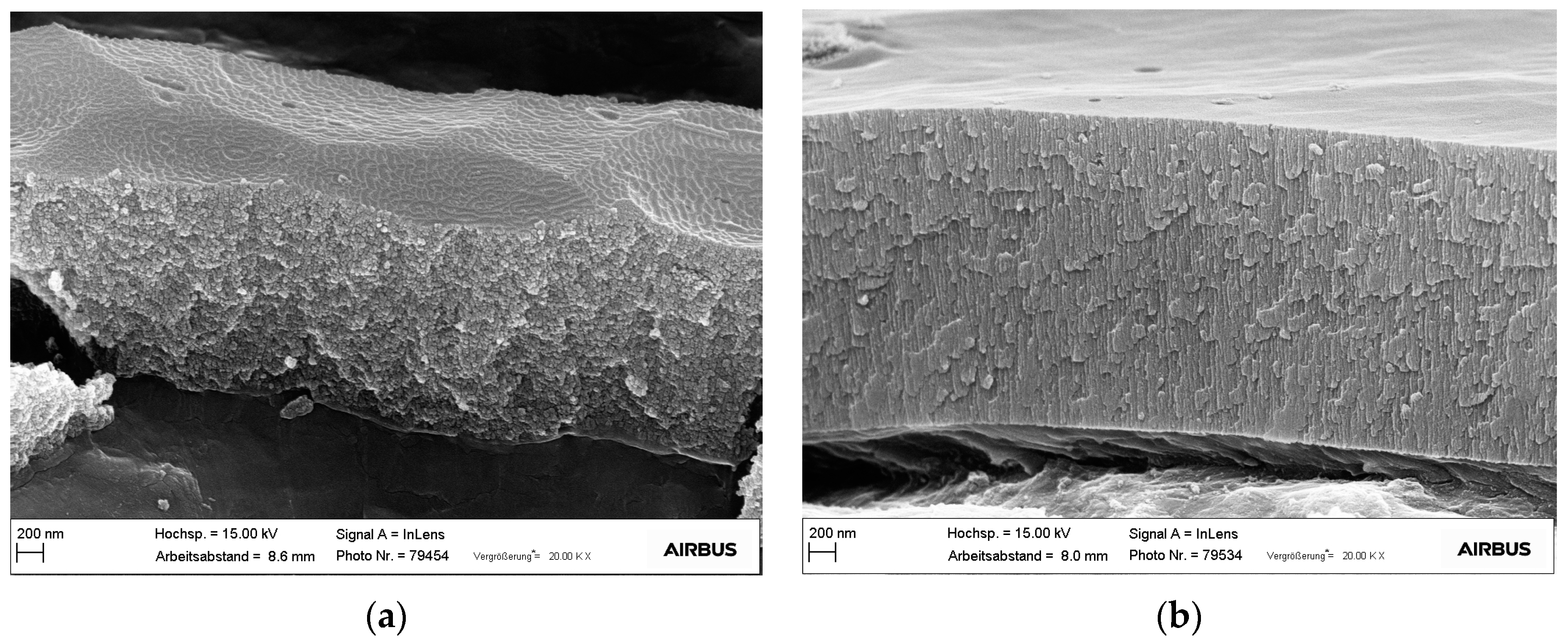 Coatings 10 01106 g009 Coatings 10 01106 g009