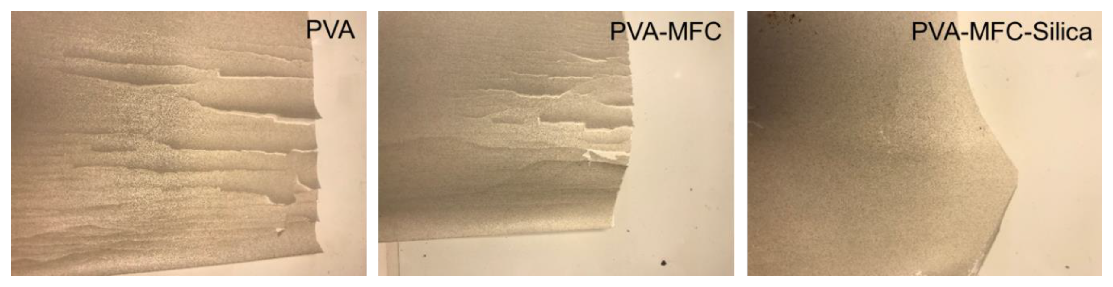 Coatings 10 01108 g006