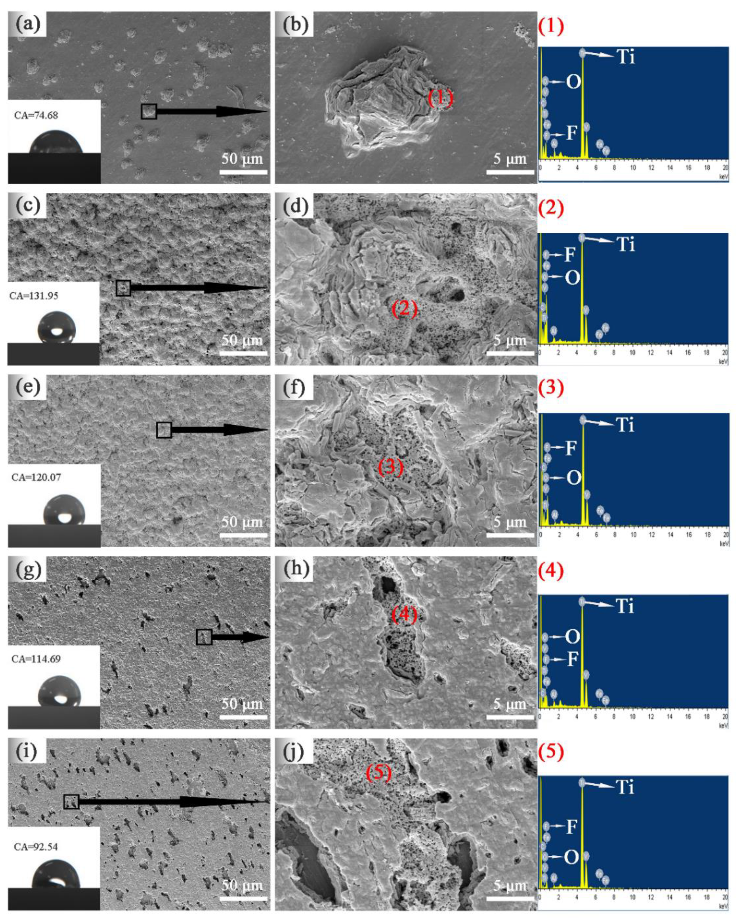 Coatings 10 01109 g002