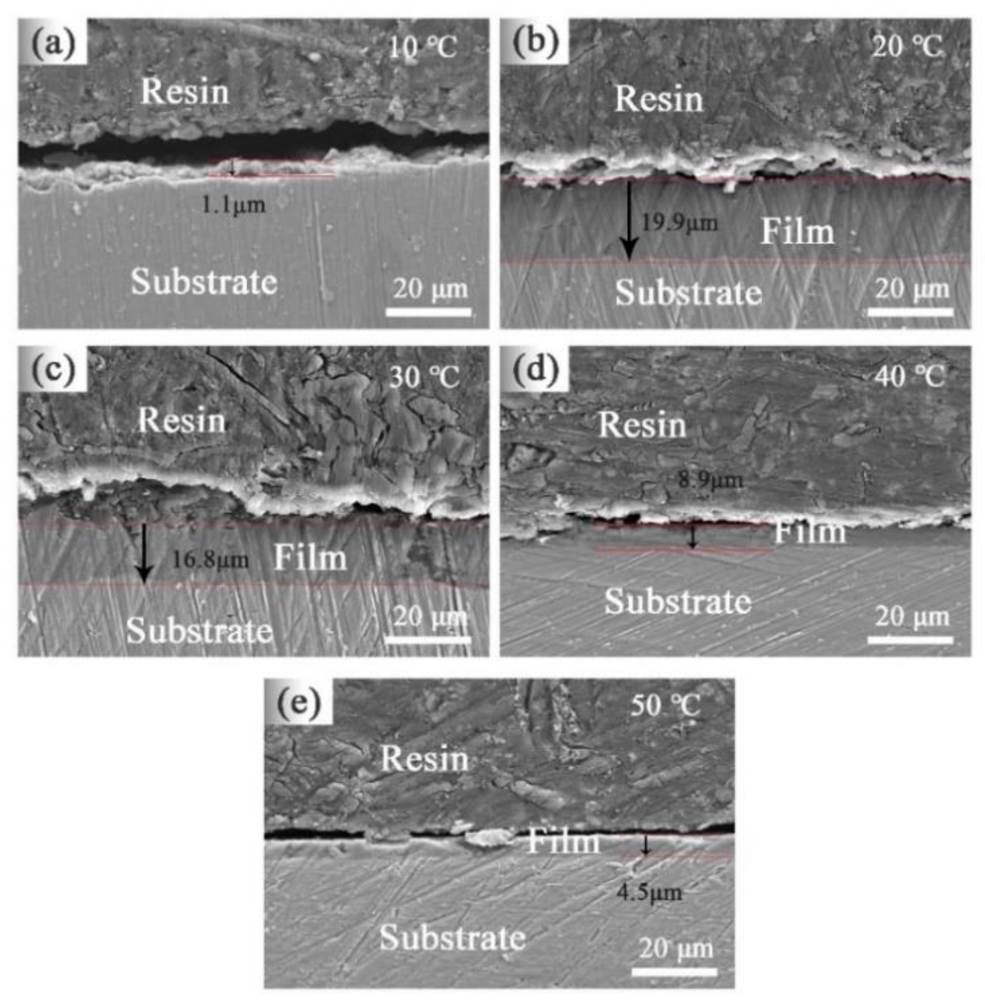 Coatings 10 01109 g005