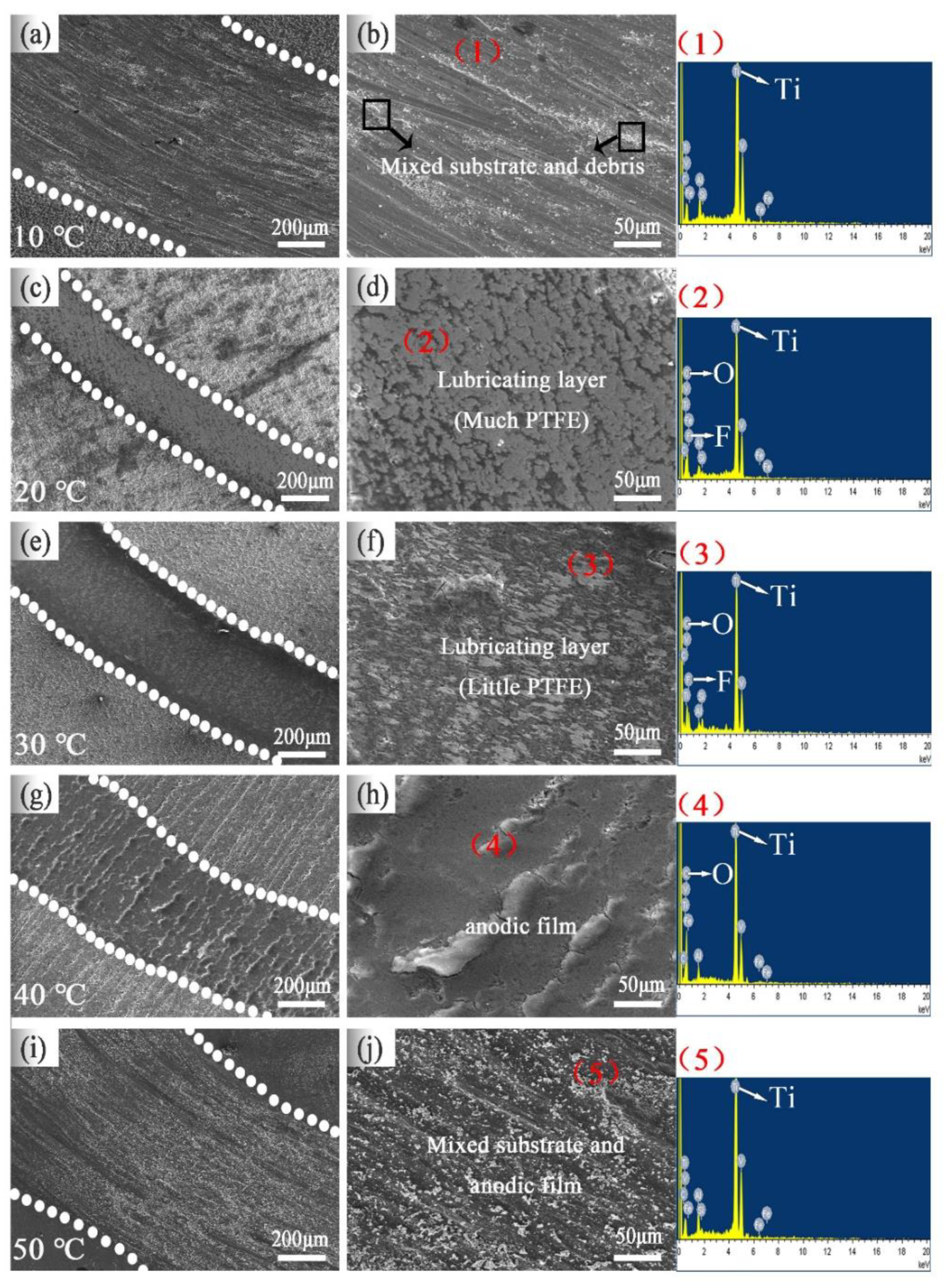 Coatings 10 01109 g012
