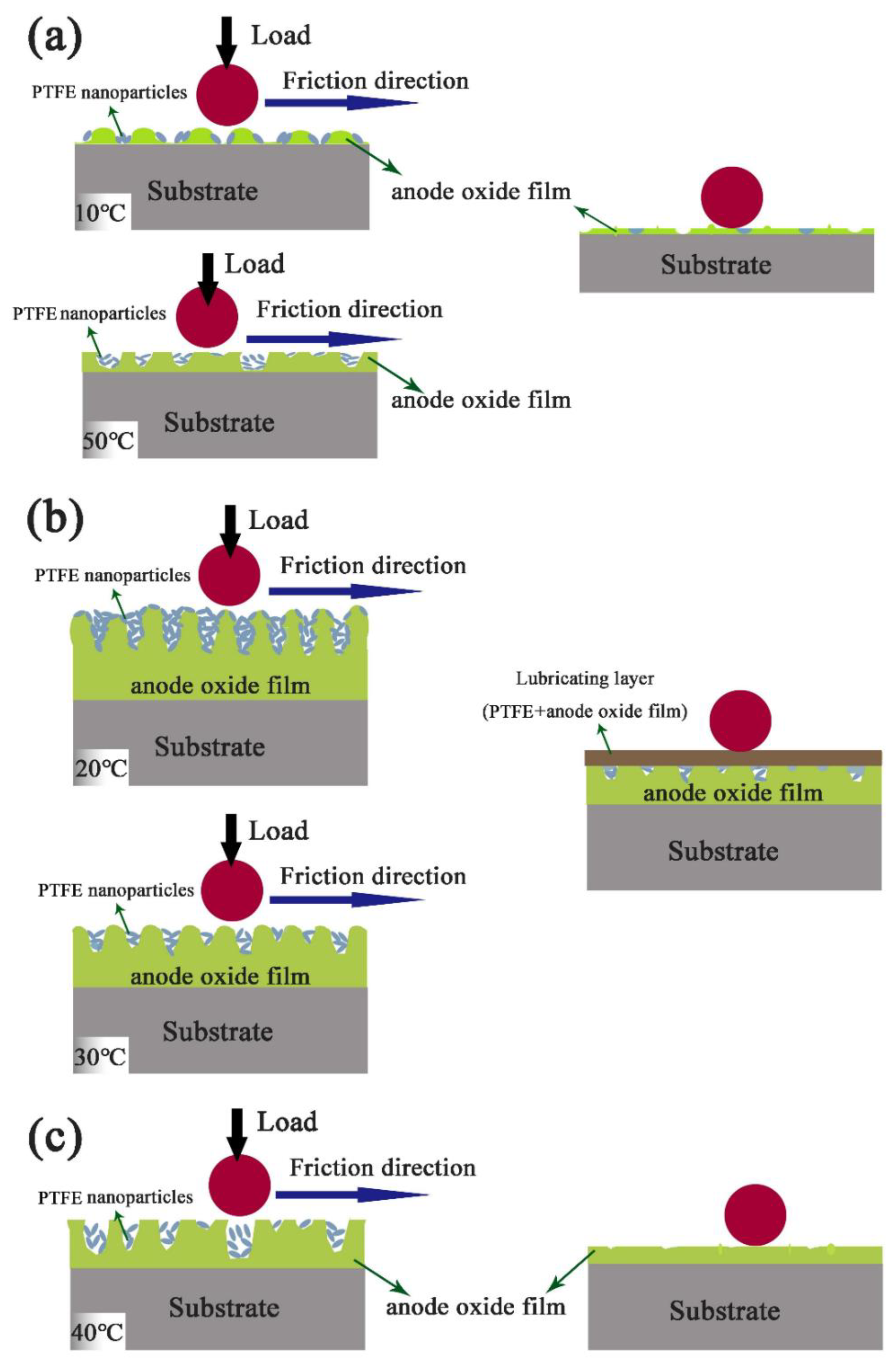 Coatings 10 01109 g013