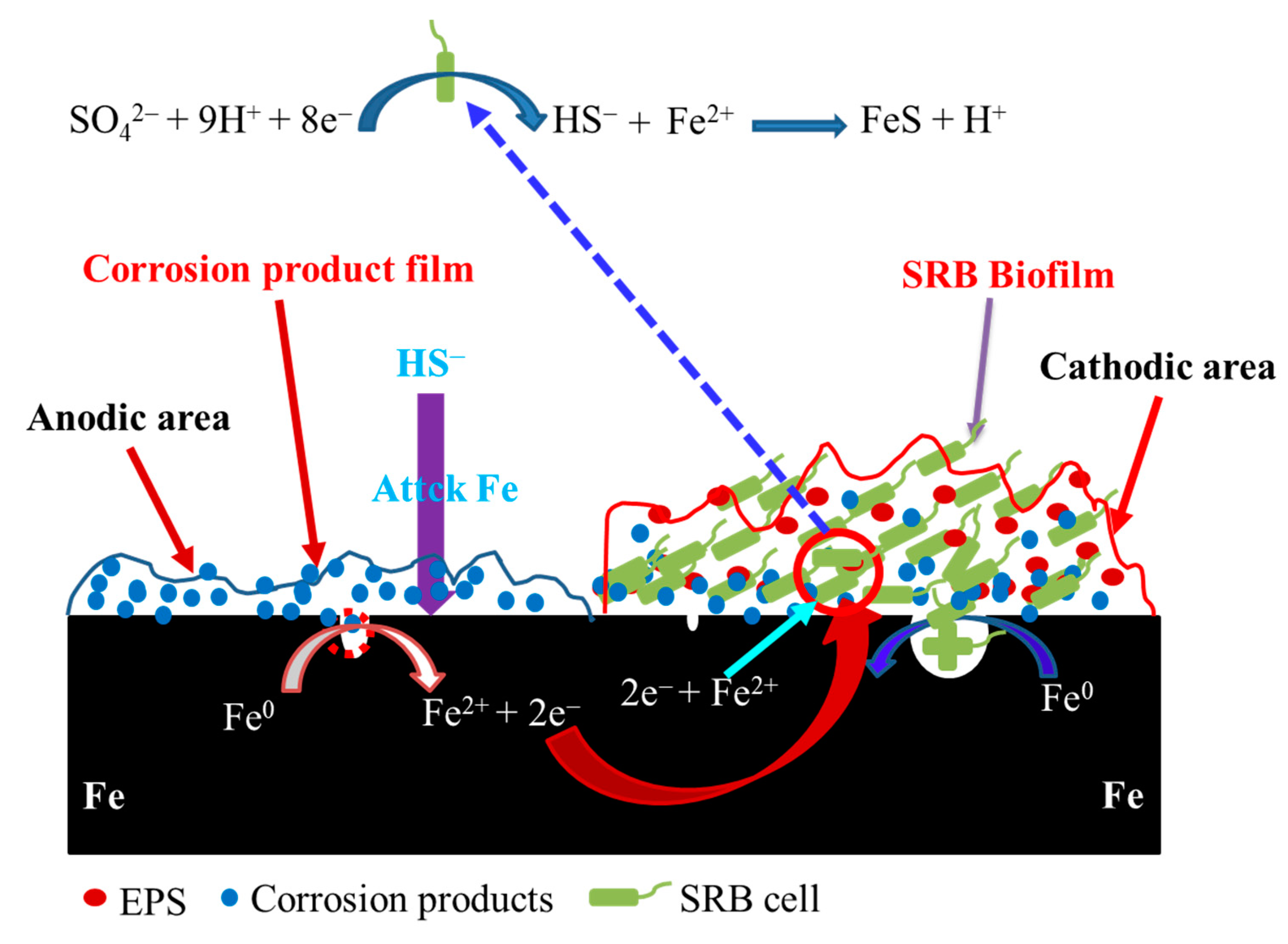 Coatings 10 01116 g007