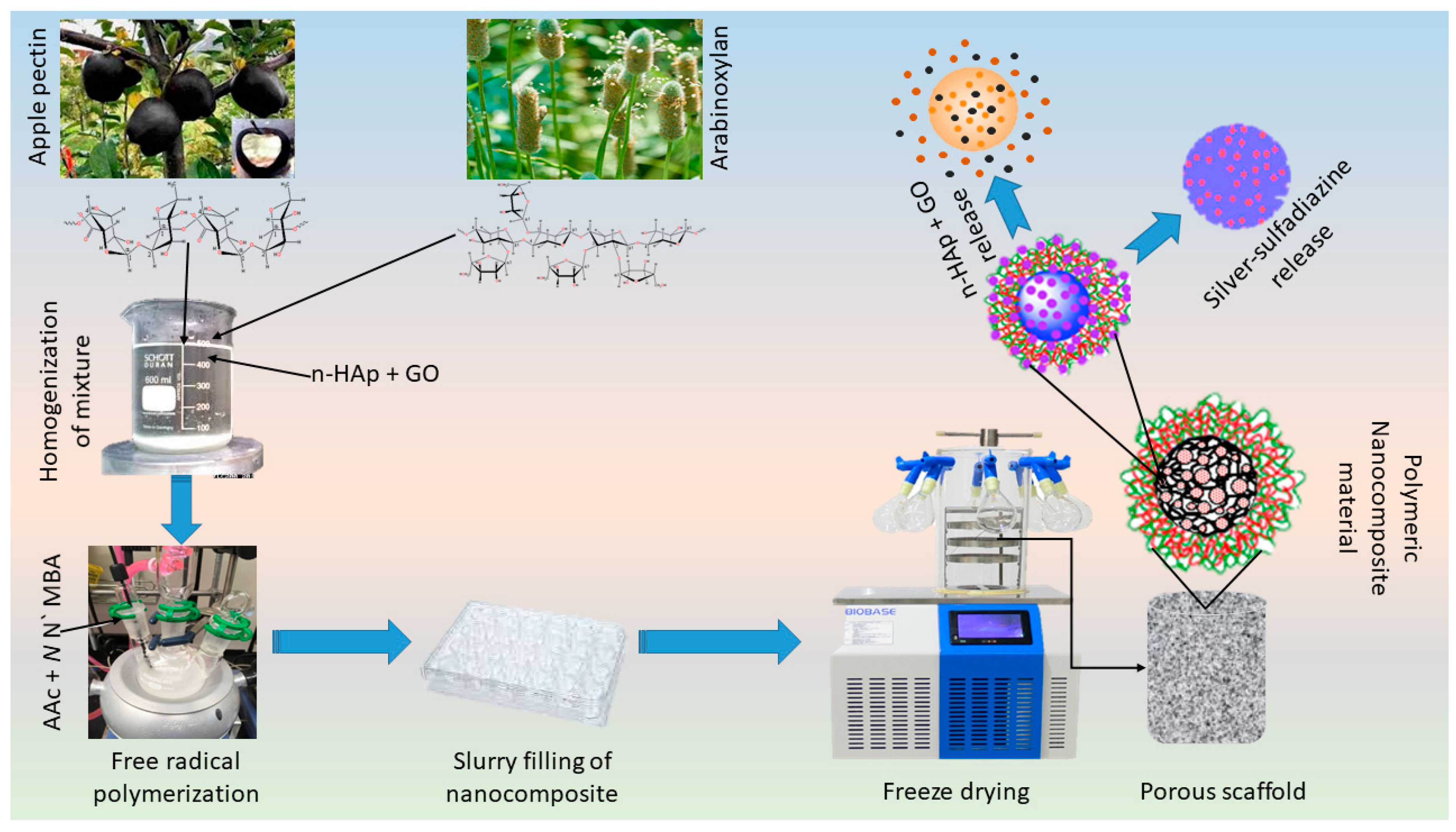 Coatings 10 01120 g001