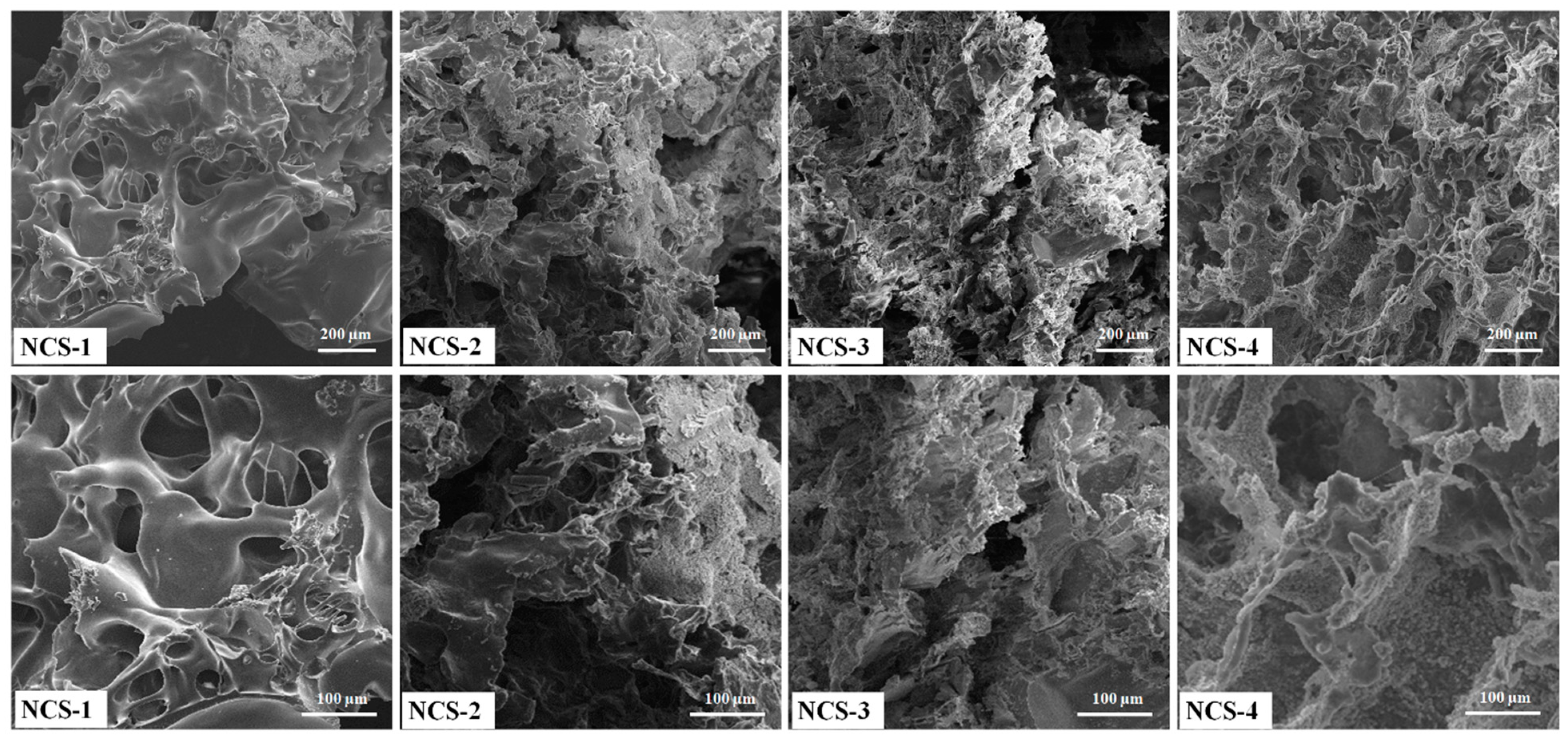 Coatings 10 01120 g004
