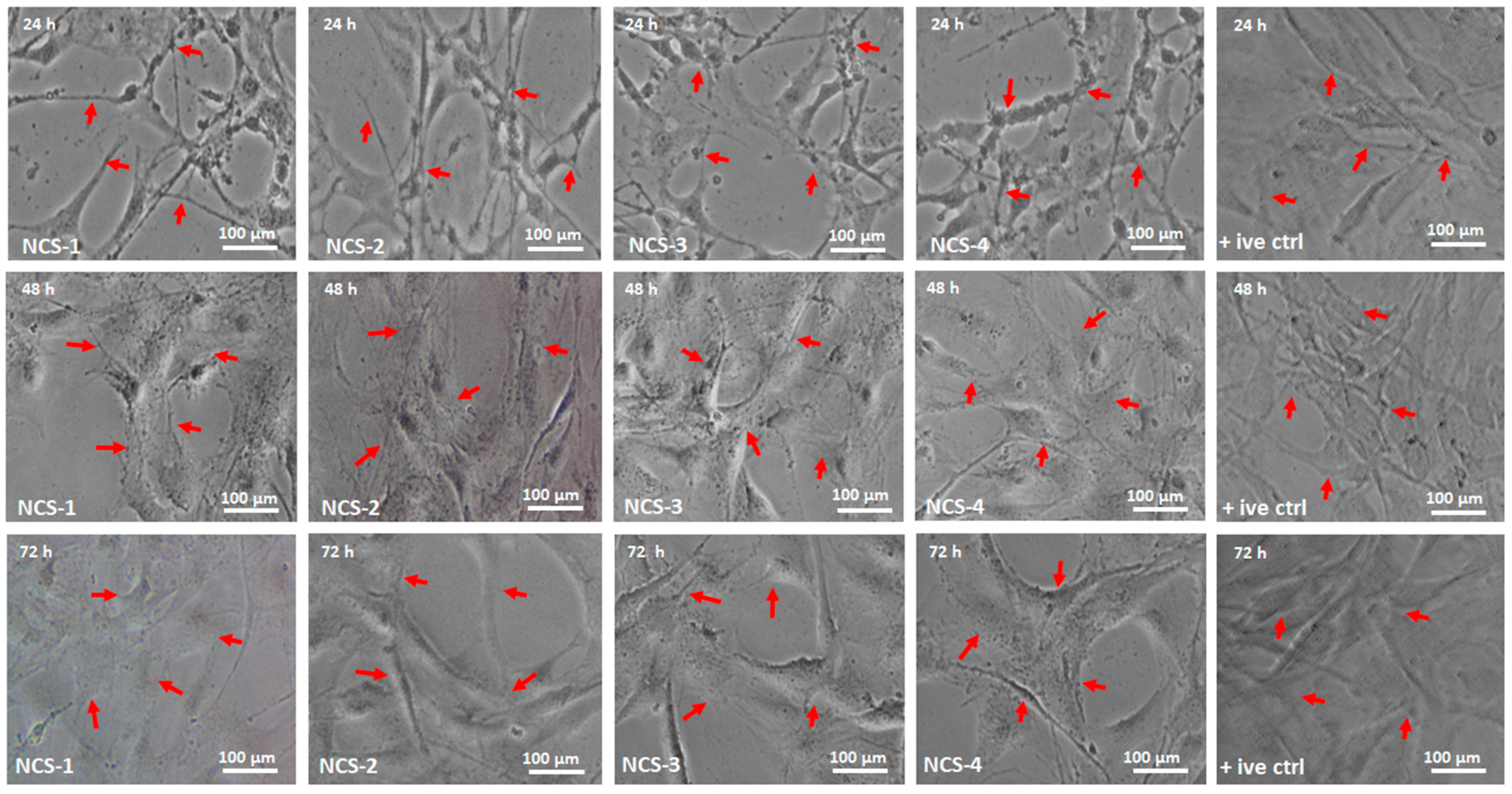 Coatings 10 01120 g009