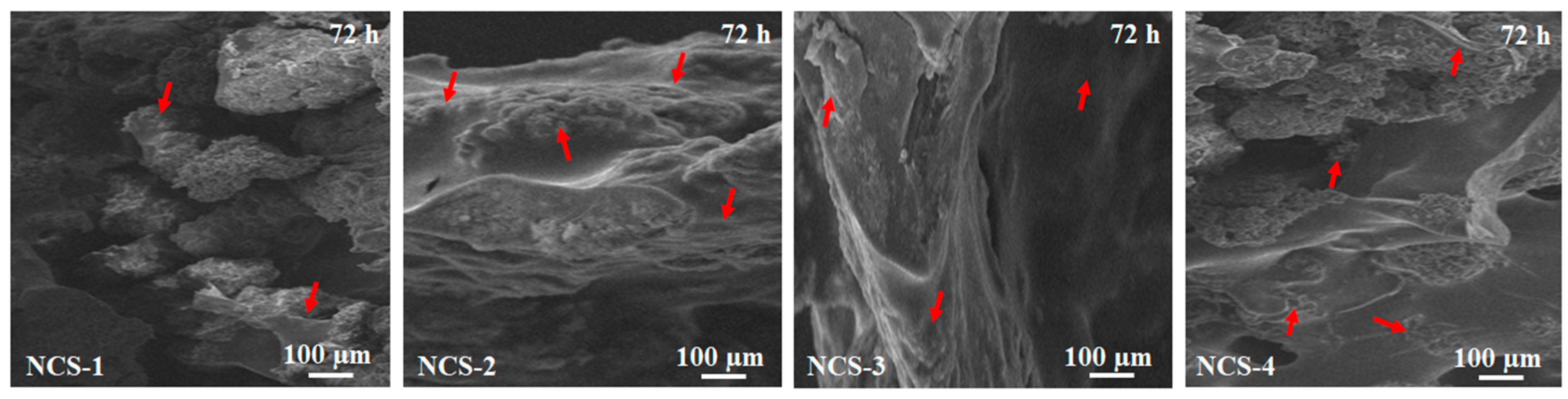 Coatings 10 01120 g010