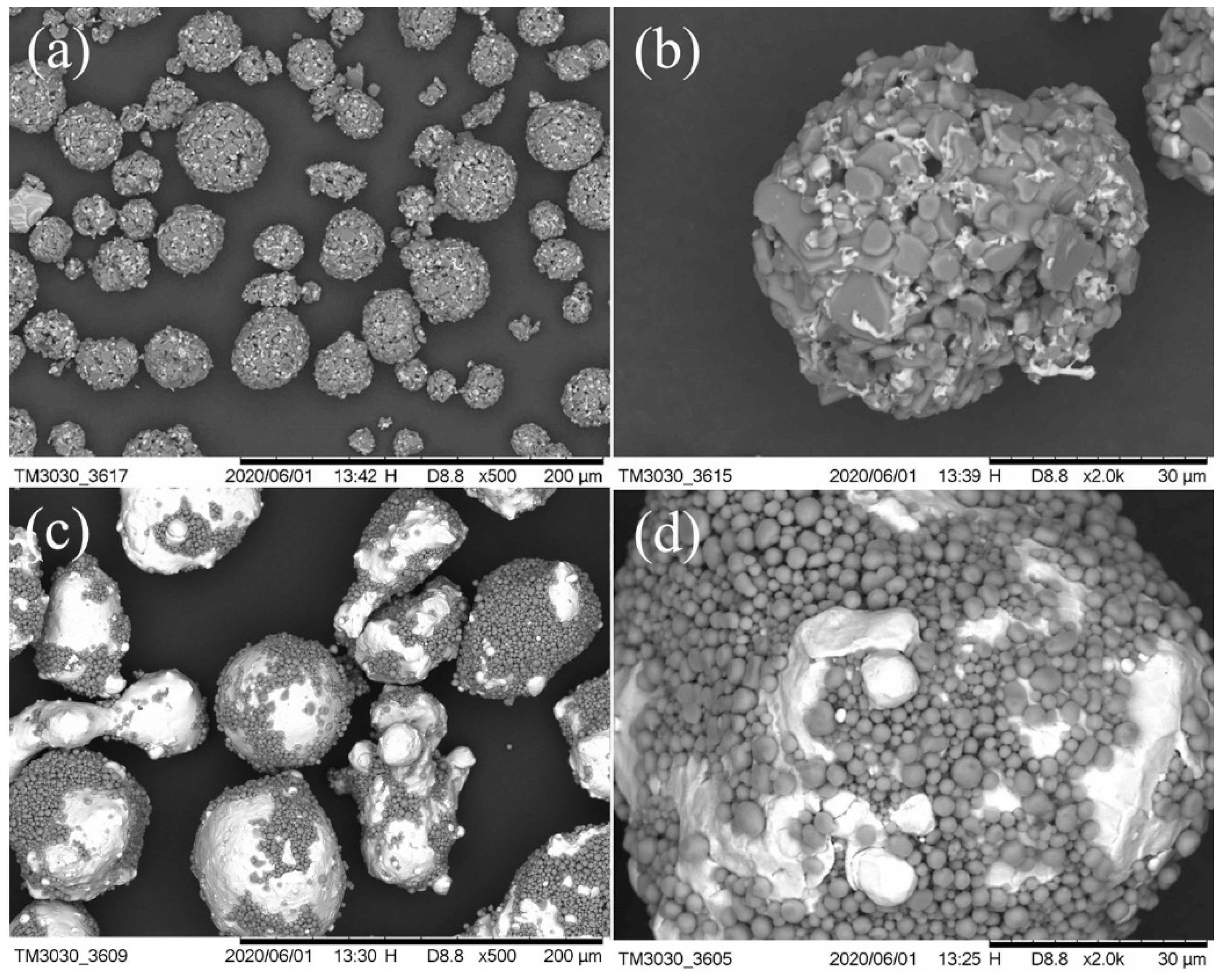Coatings 10 01122 g001