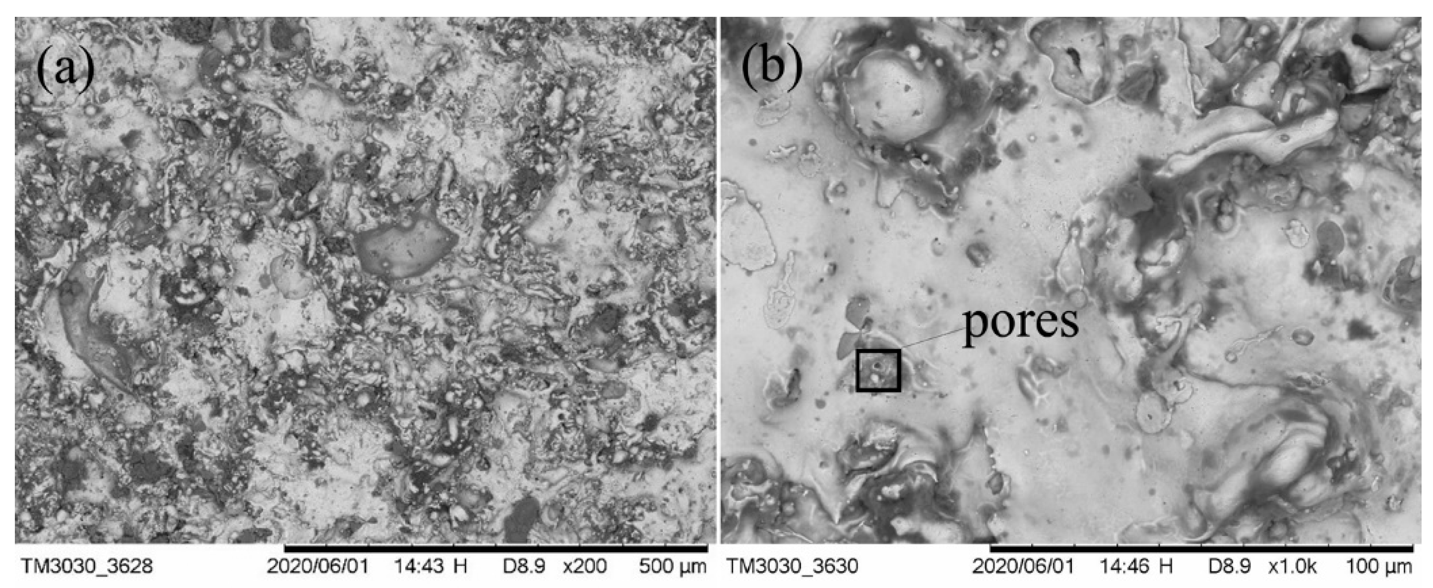 Coatings 10 01122 g002