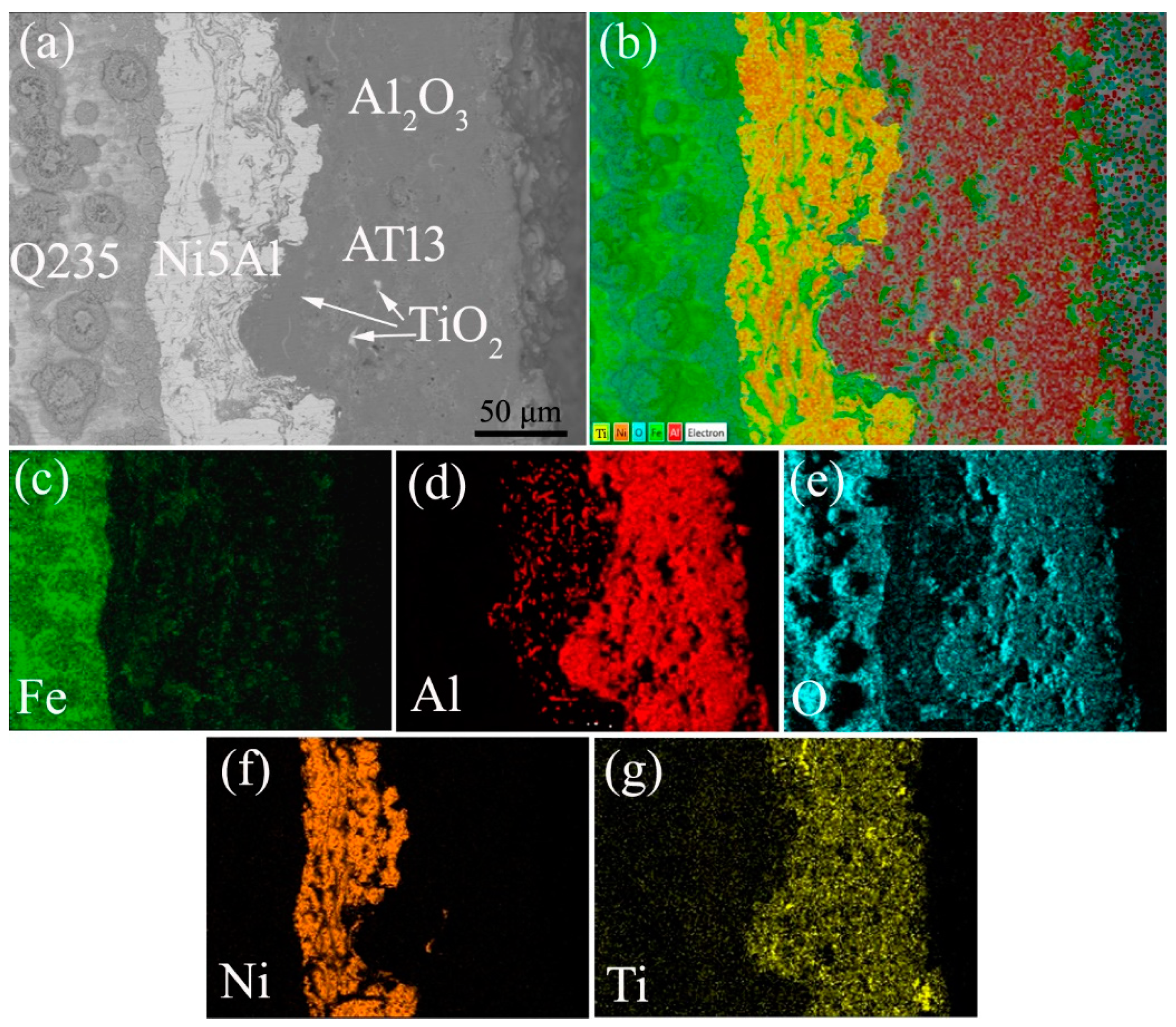 Coatings 10 01122 g006