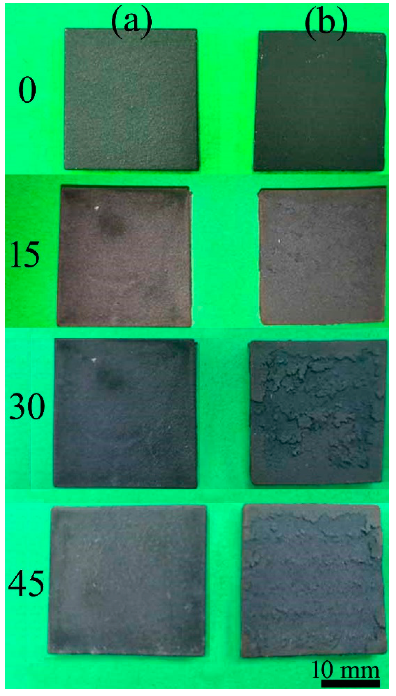 Coatings 10 01122 g010