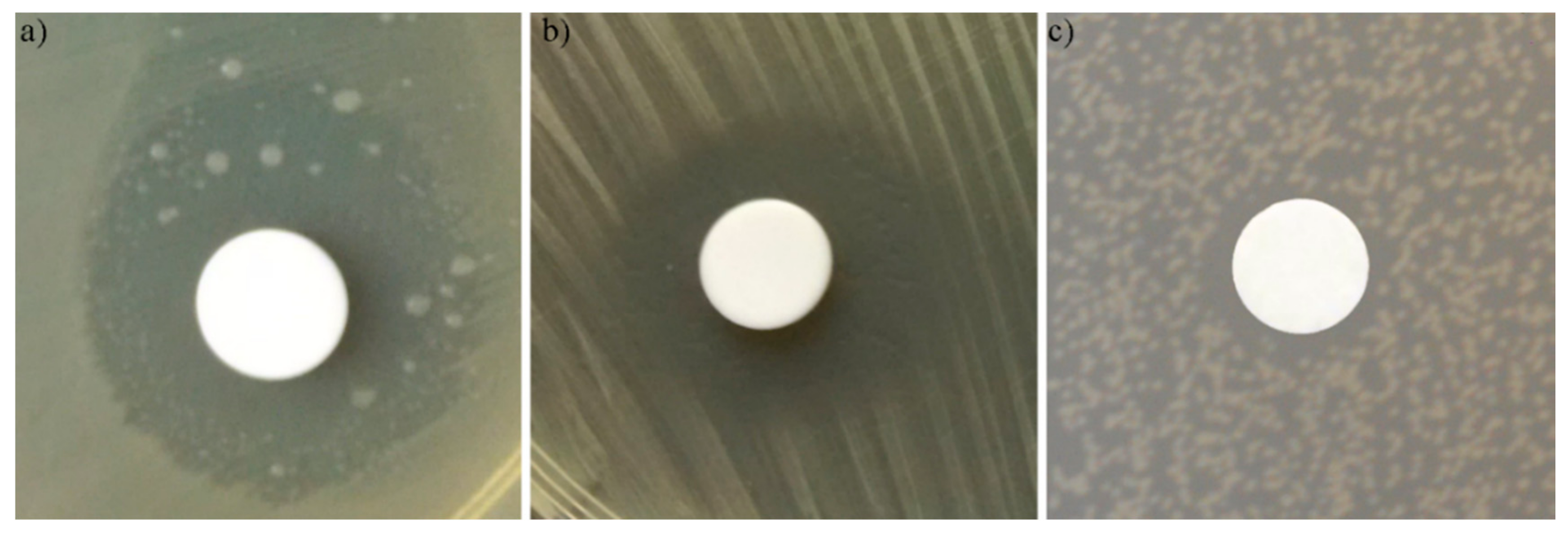 Coatings 10 01124 g011