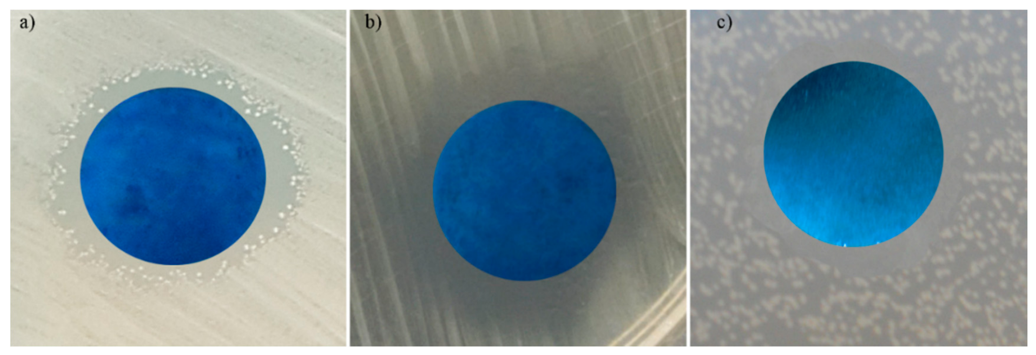 Coatings 10 01124 g012