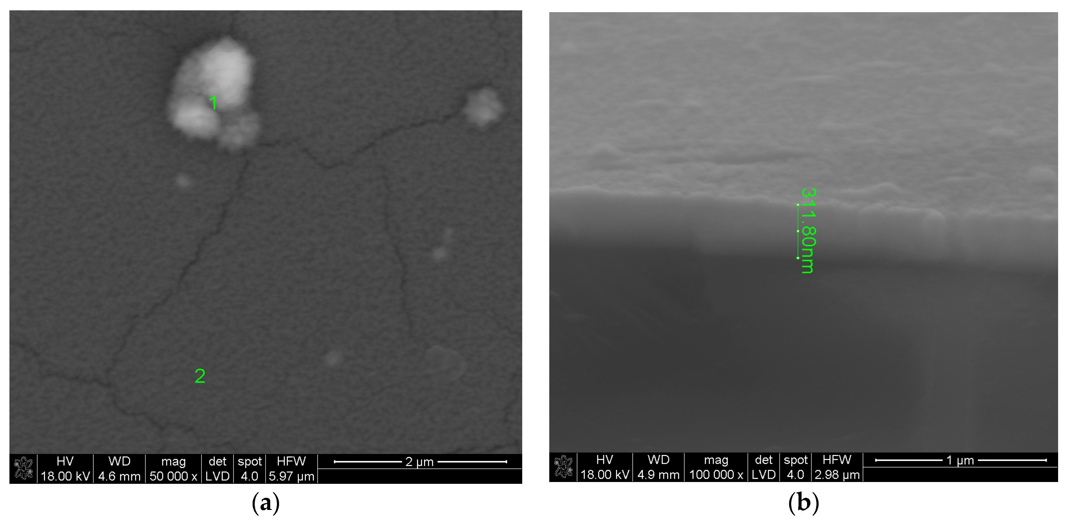 Coatings 10 01126 g001
