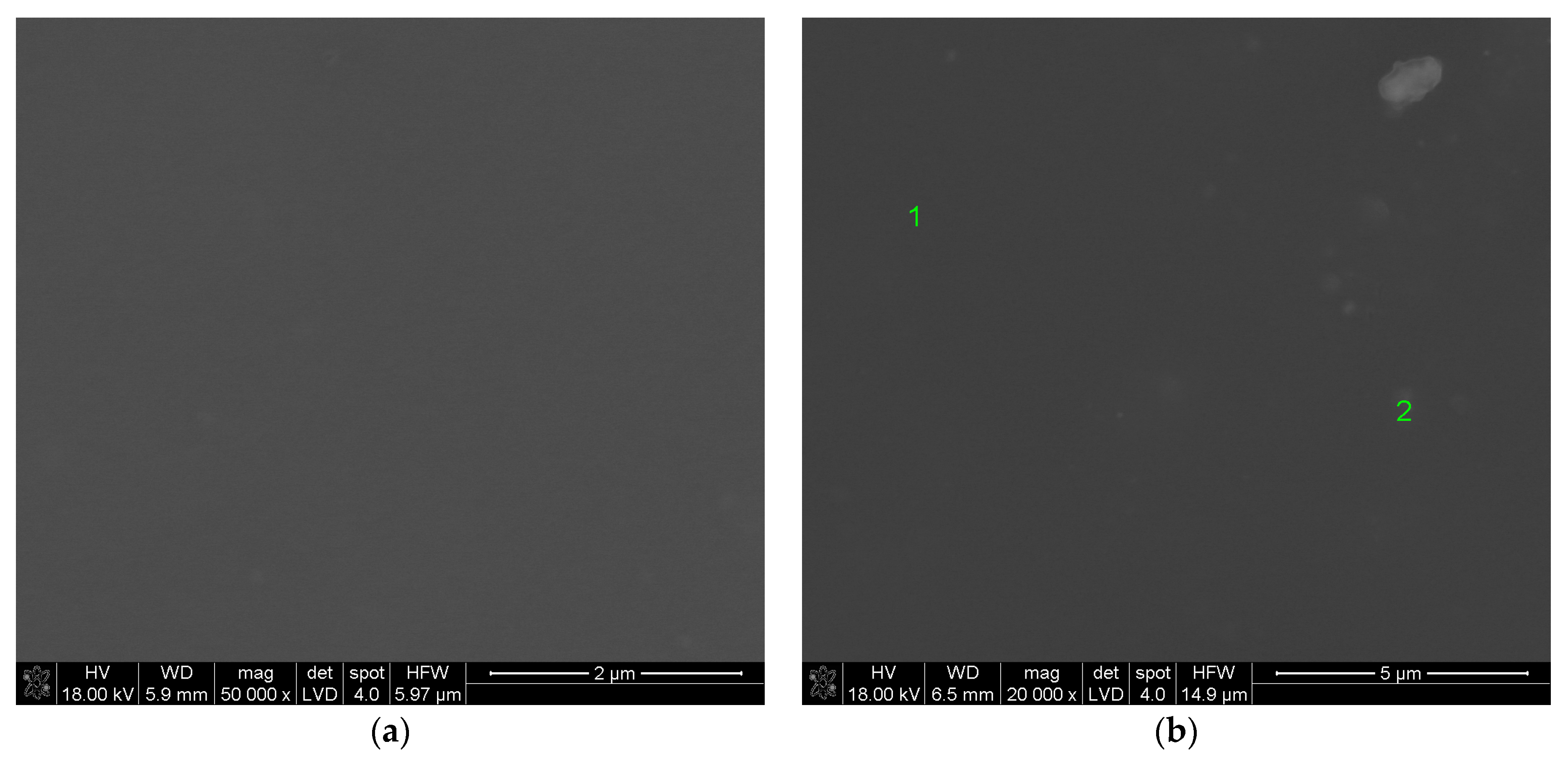 Coatings 10 01126 g008