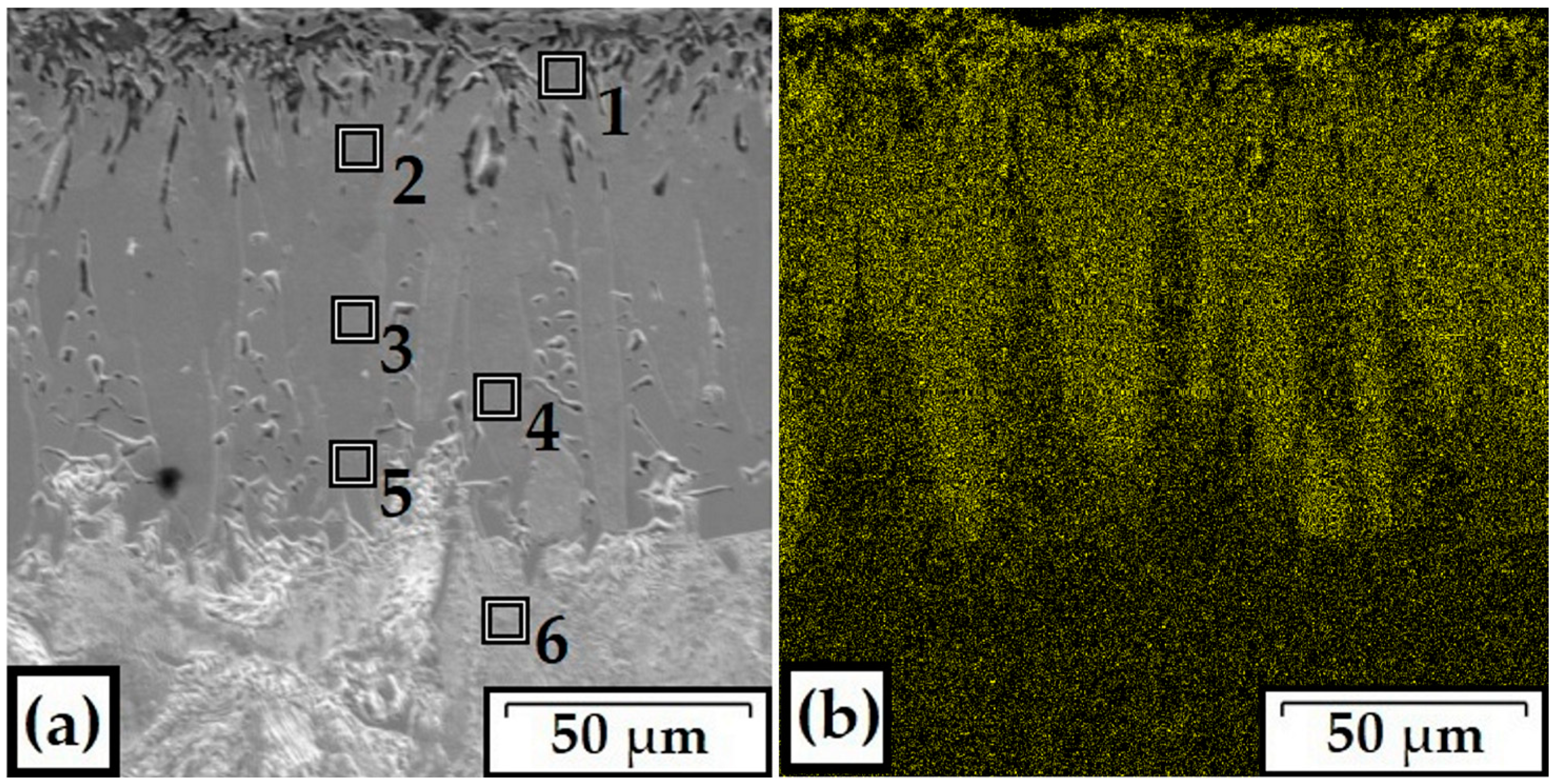 Coatings 10 01130 g002