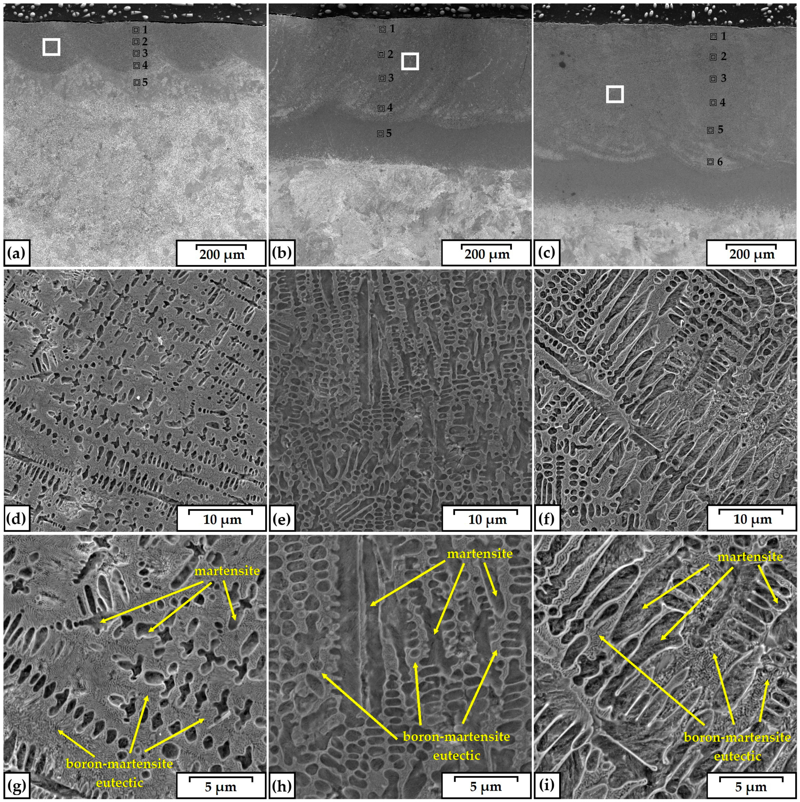 Coatings 10 01130 g003