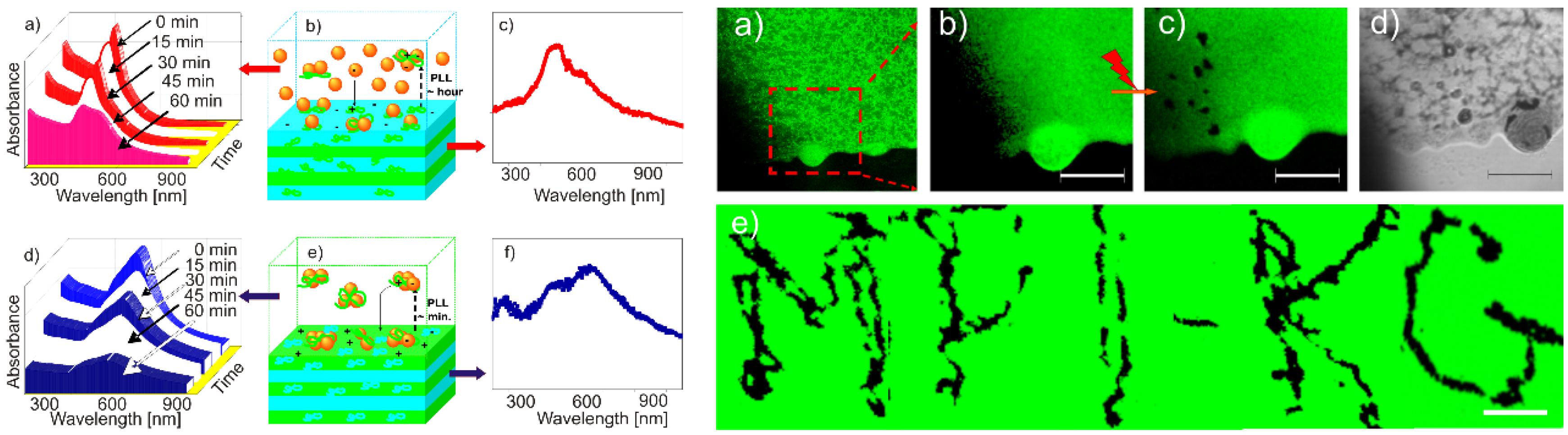 Coatings 10 01131 g002