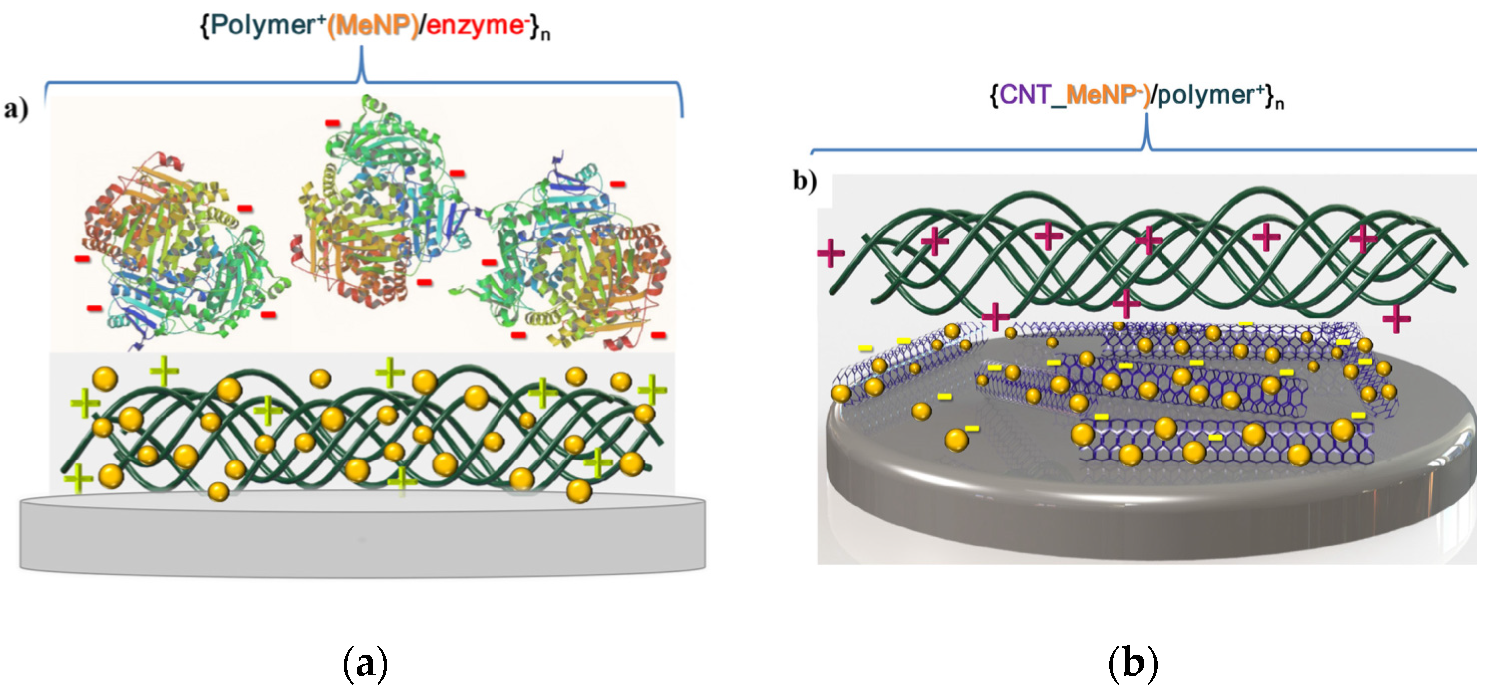 Coatings 10 01131 g004