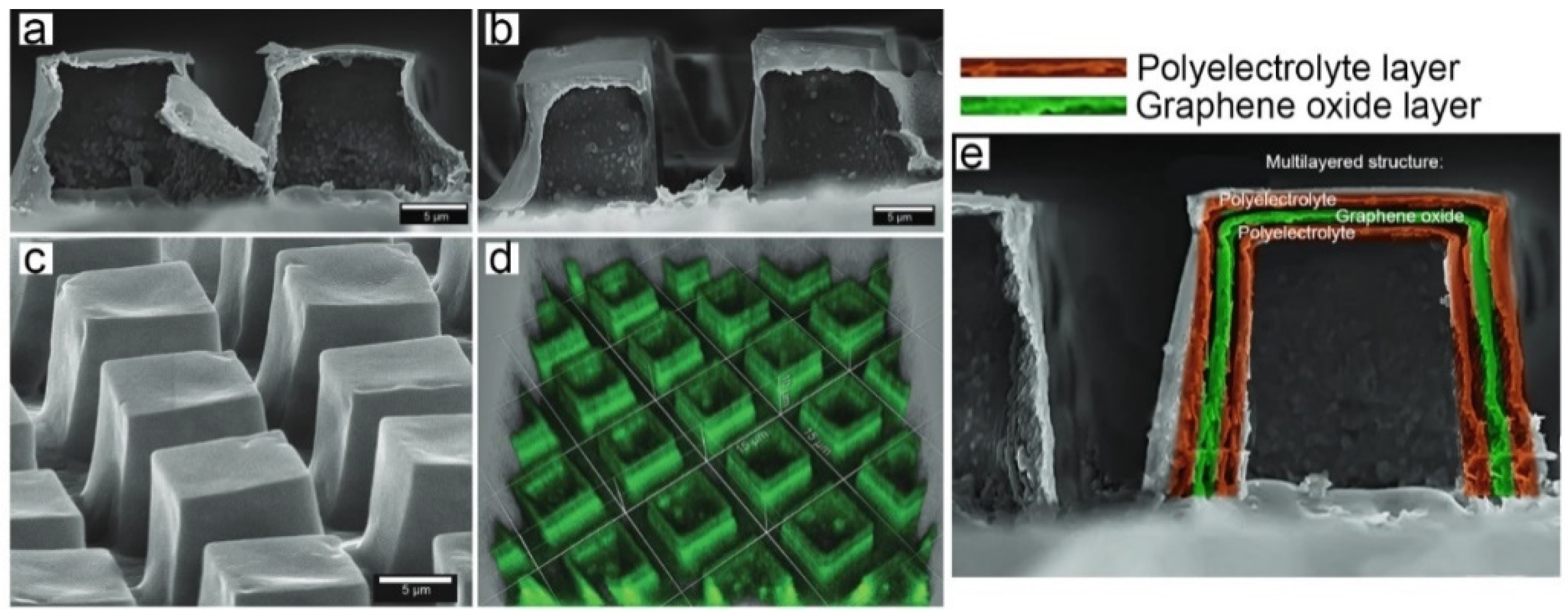 Coatings 10 01131 g006