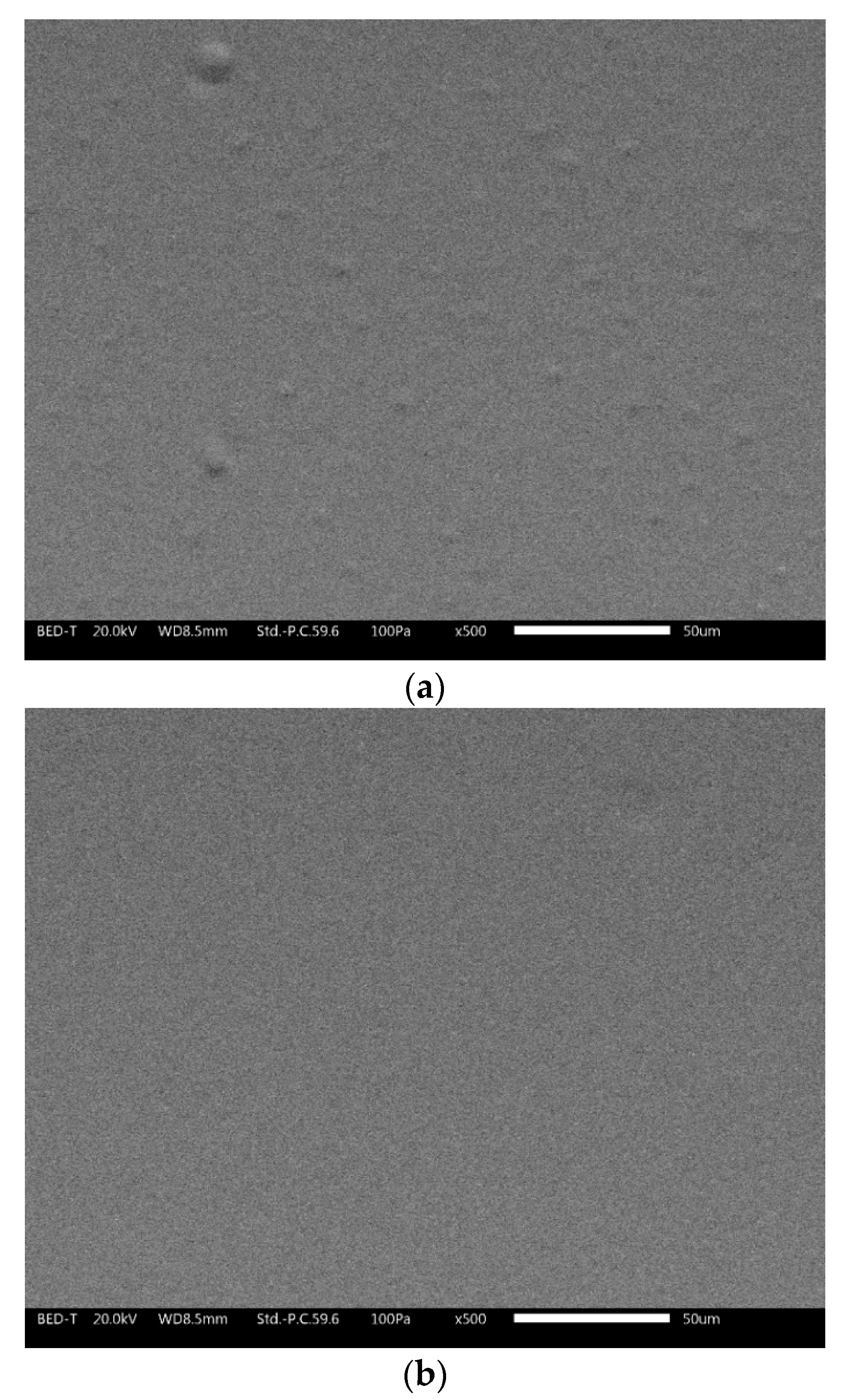 Coatings 10 01135 g009