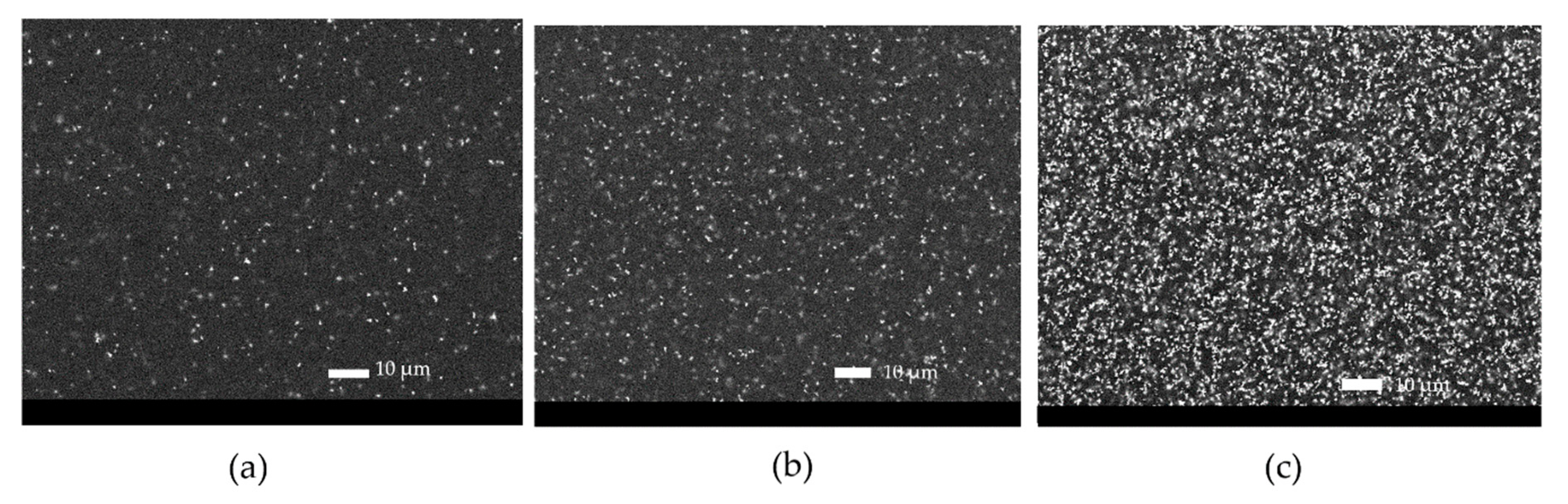 Coatings 10 01135 g010