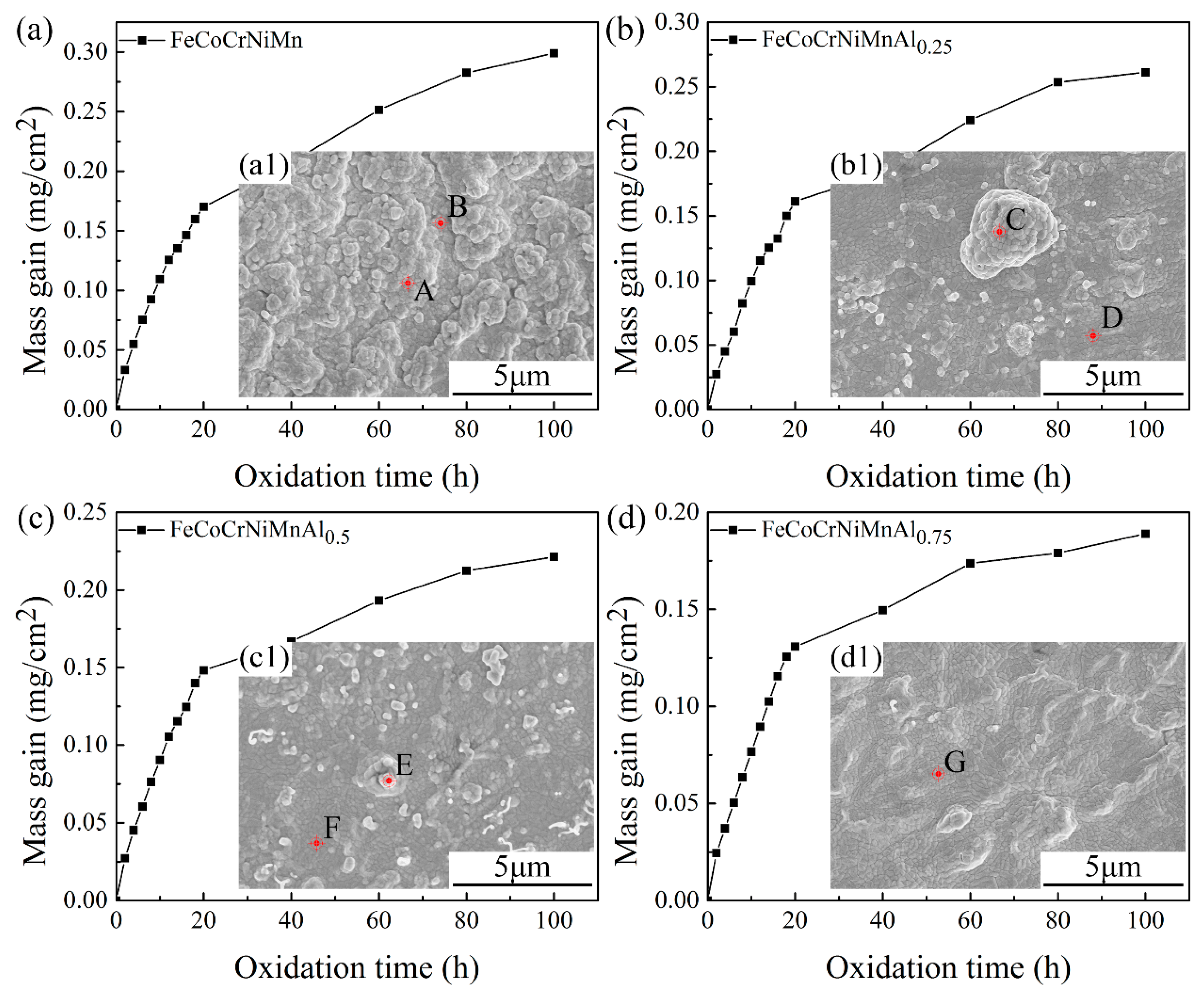 Coatings 10 01136 g005