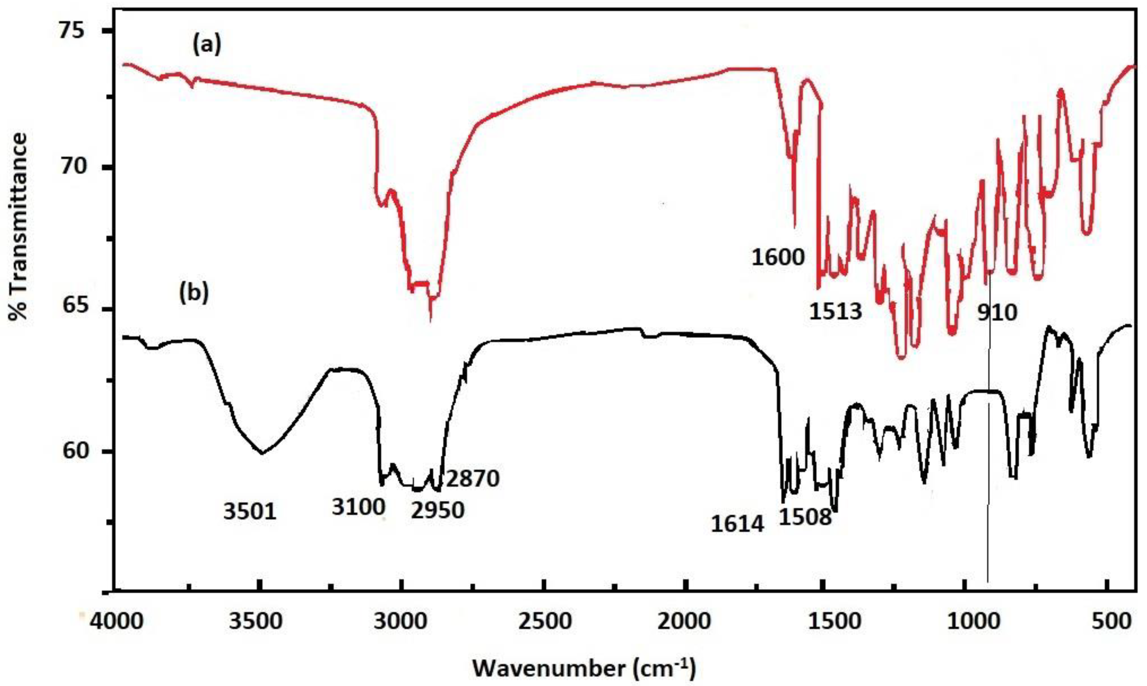 Coatings 10 01139 g007