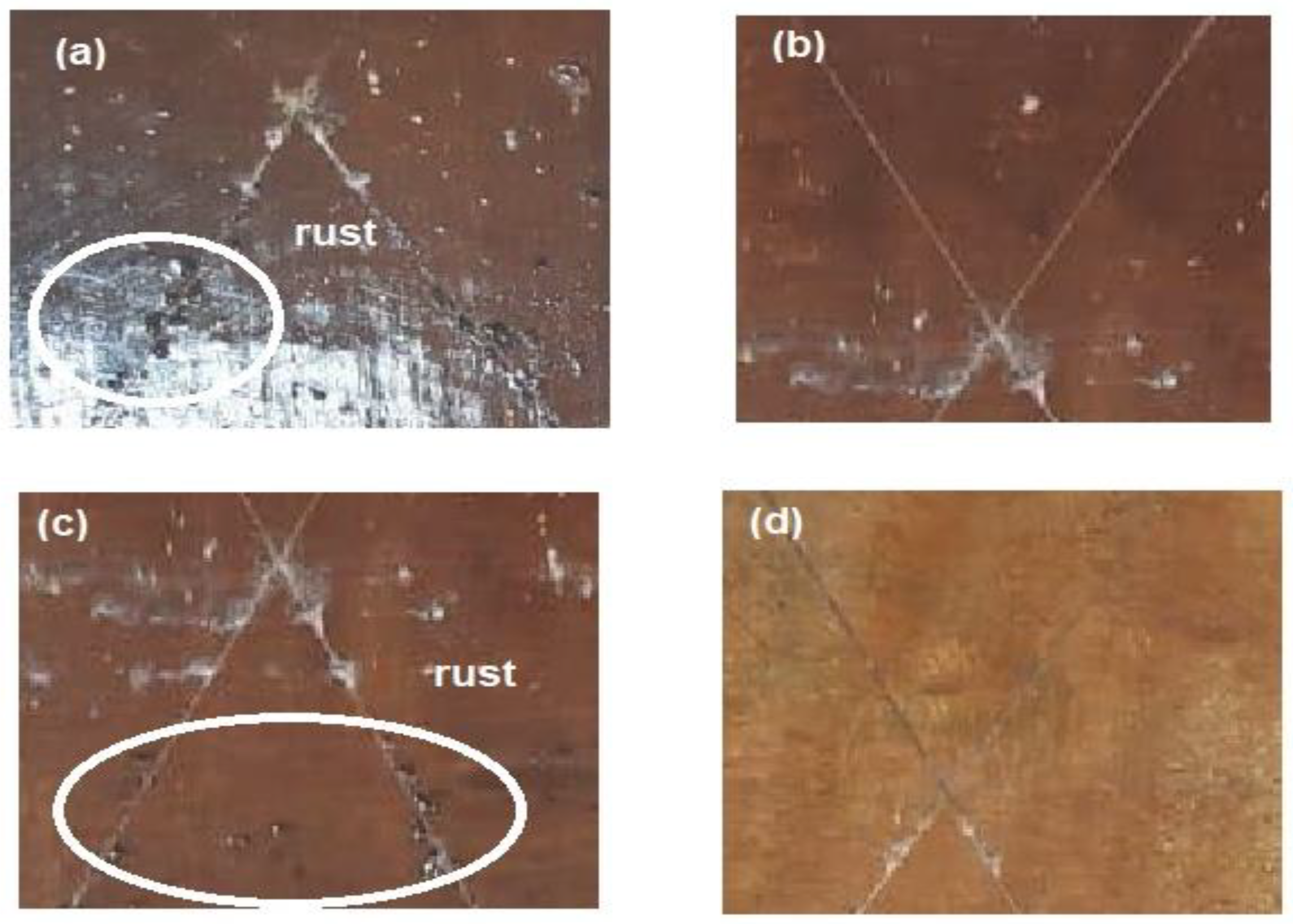 Coatings 10 01139 g011