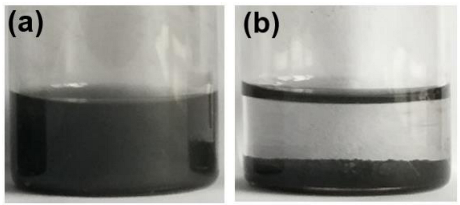 Coatings 10 01150 g005
