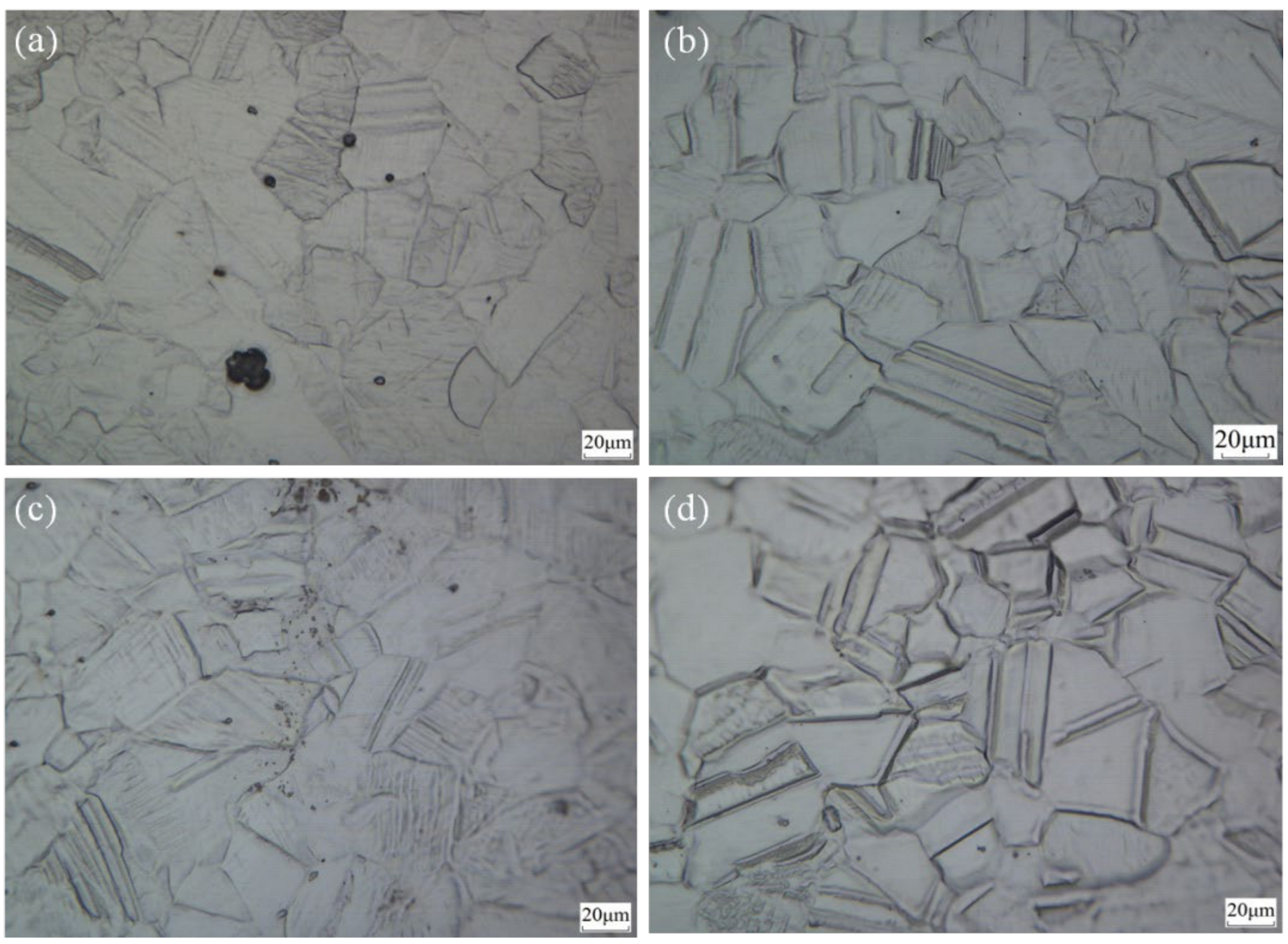 Coatings 10 01156 g002