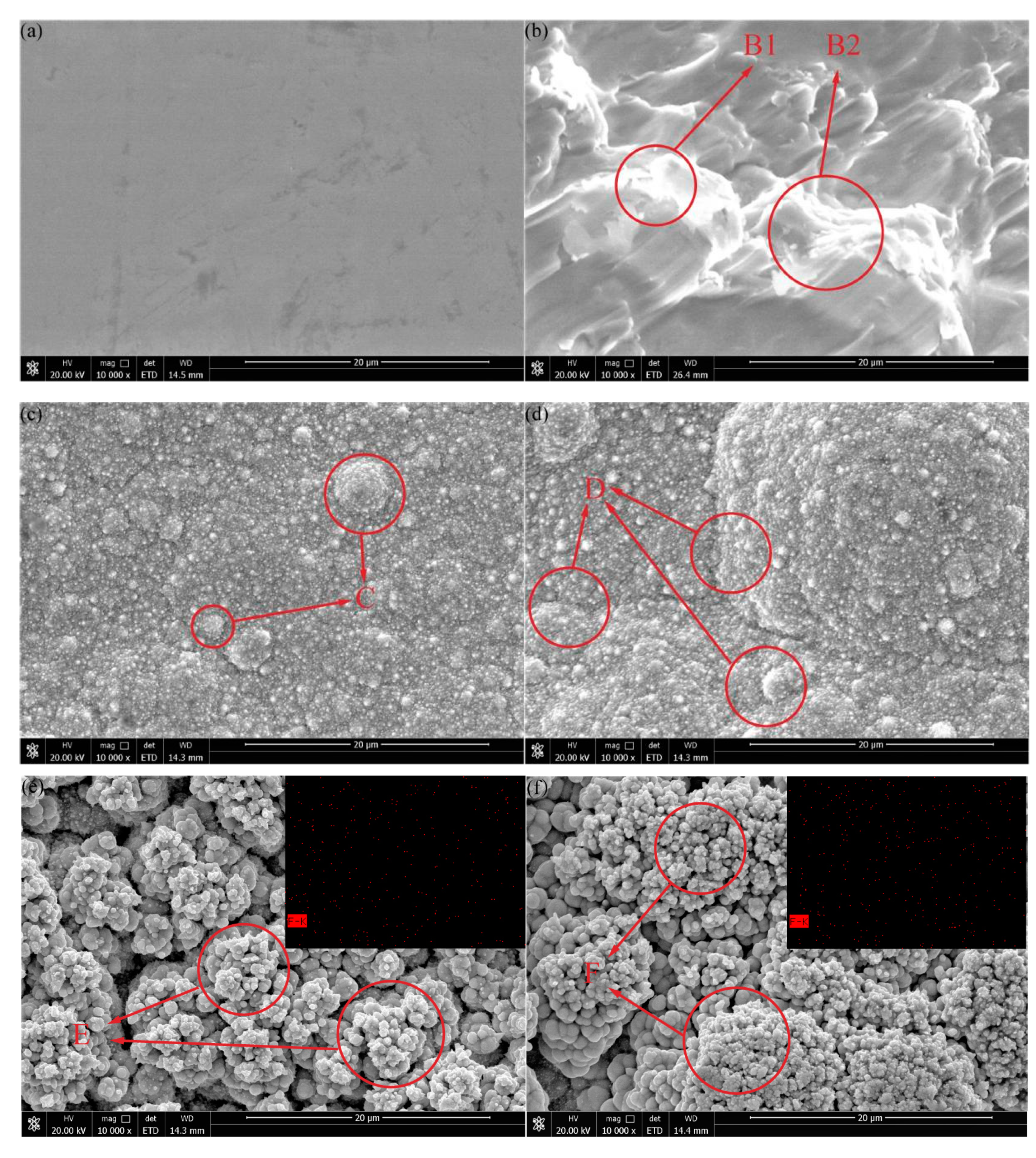 Coatings 10 01164 g002