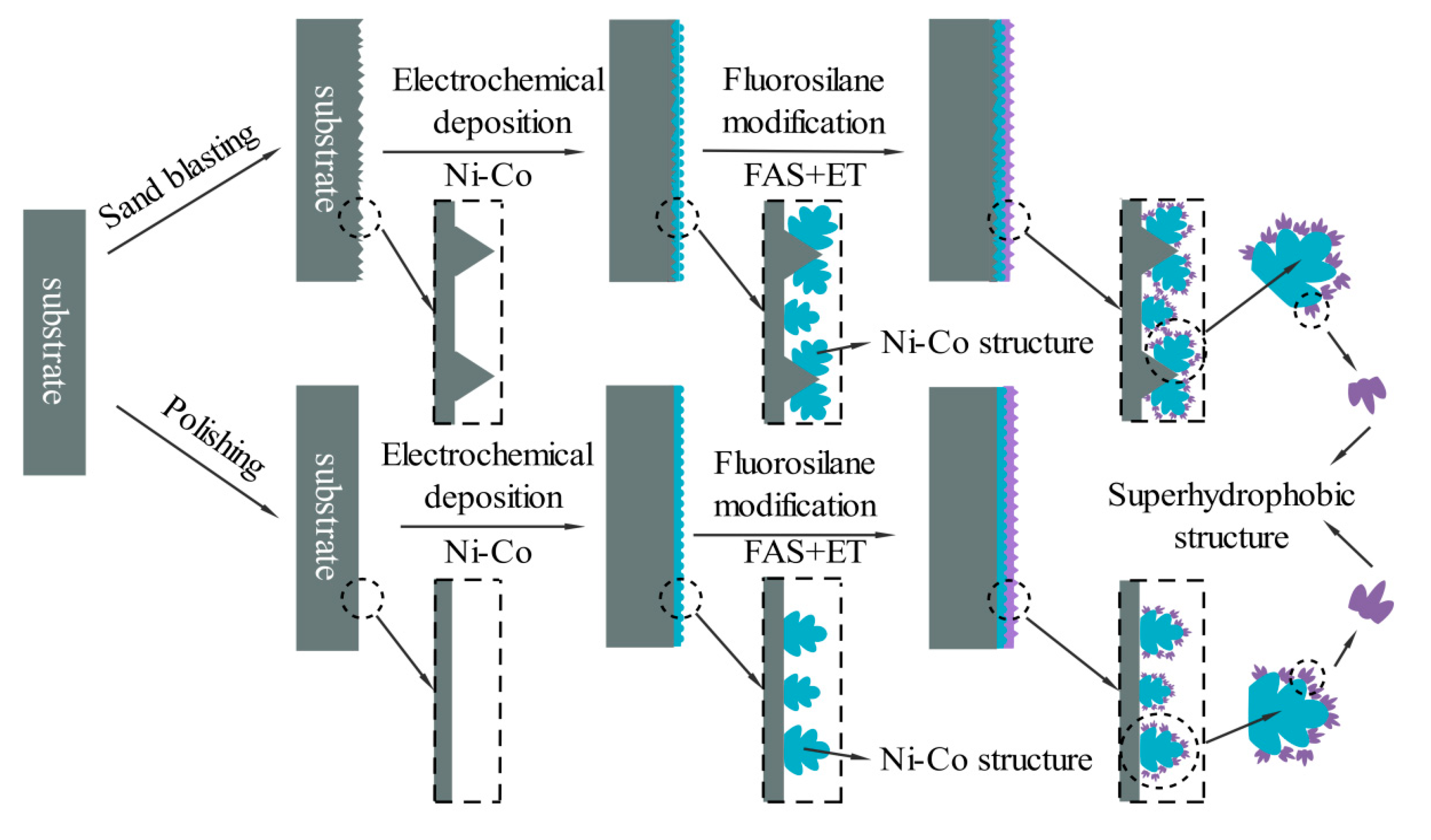 Coatings 10 01164 g010