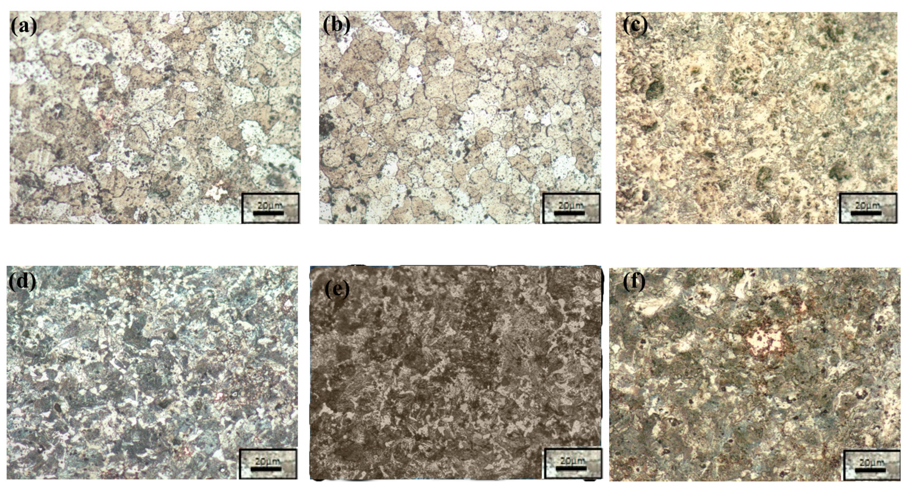 Coatings 10 01166 g003 Coatings 10 01166 g003