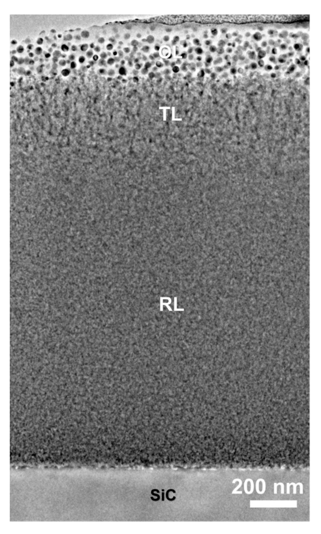 Coatings 10 01170 g008